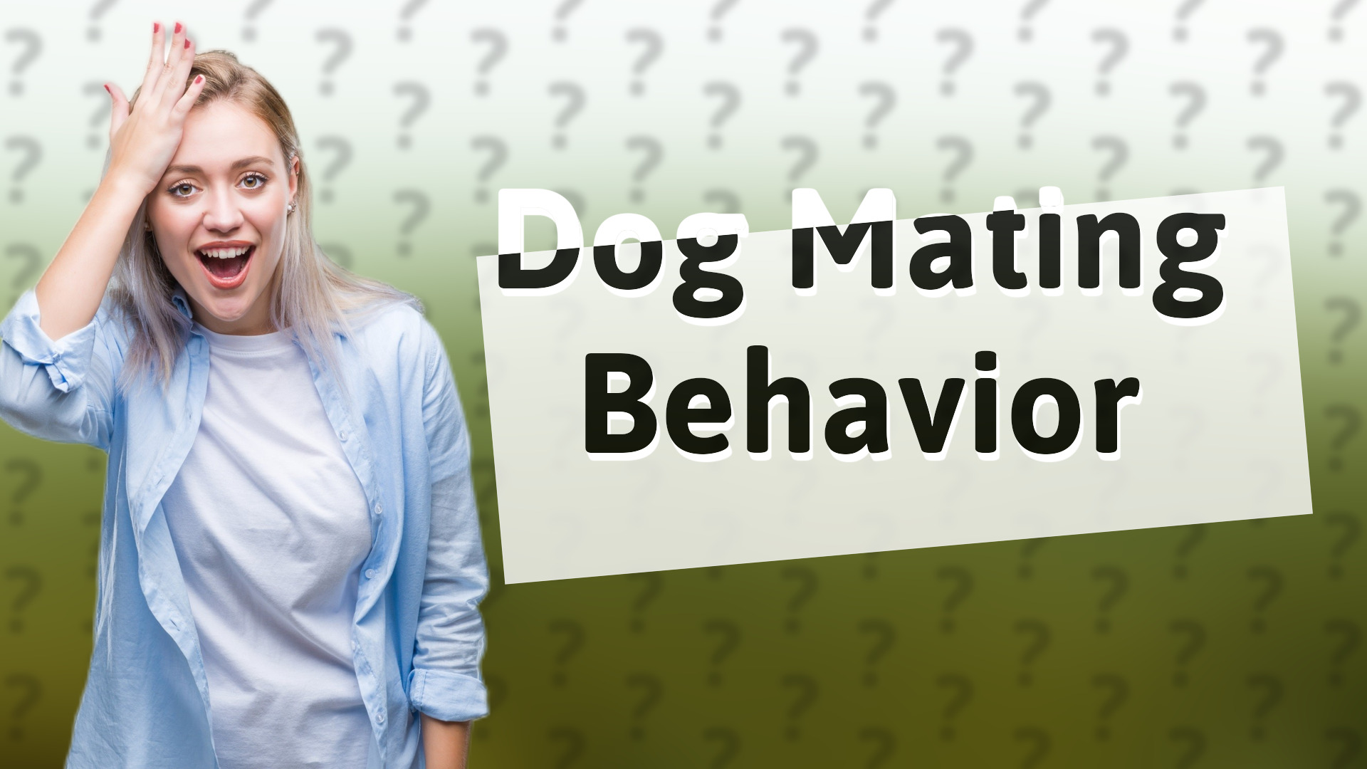 Dog Mating Behavior