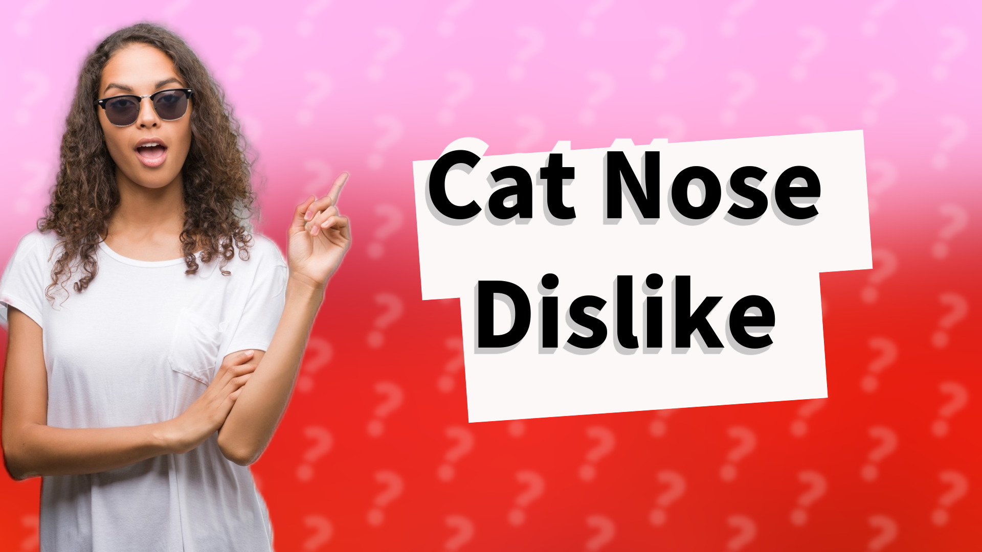 Cat Nose Dislike