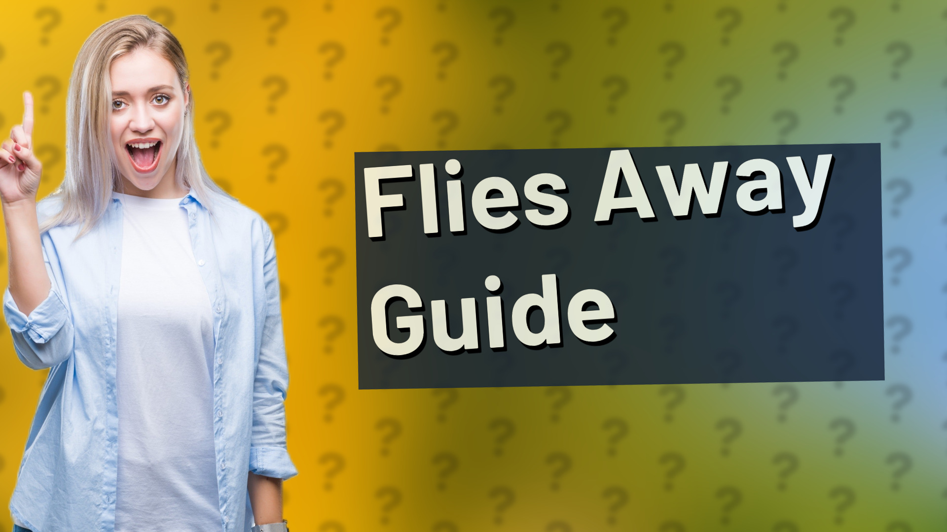 Flies Away Guide