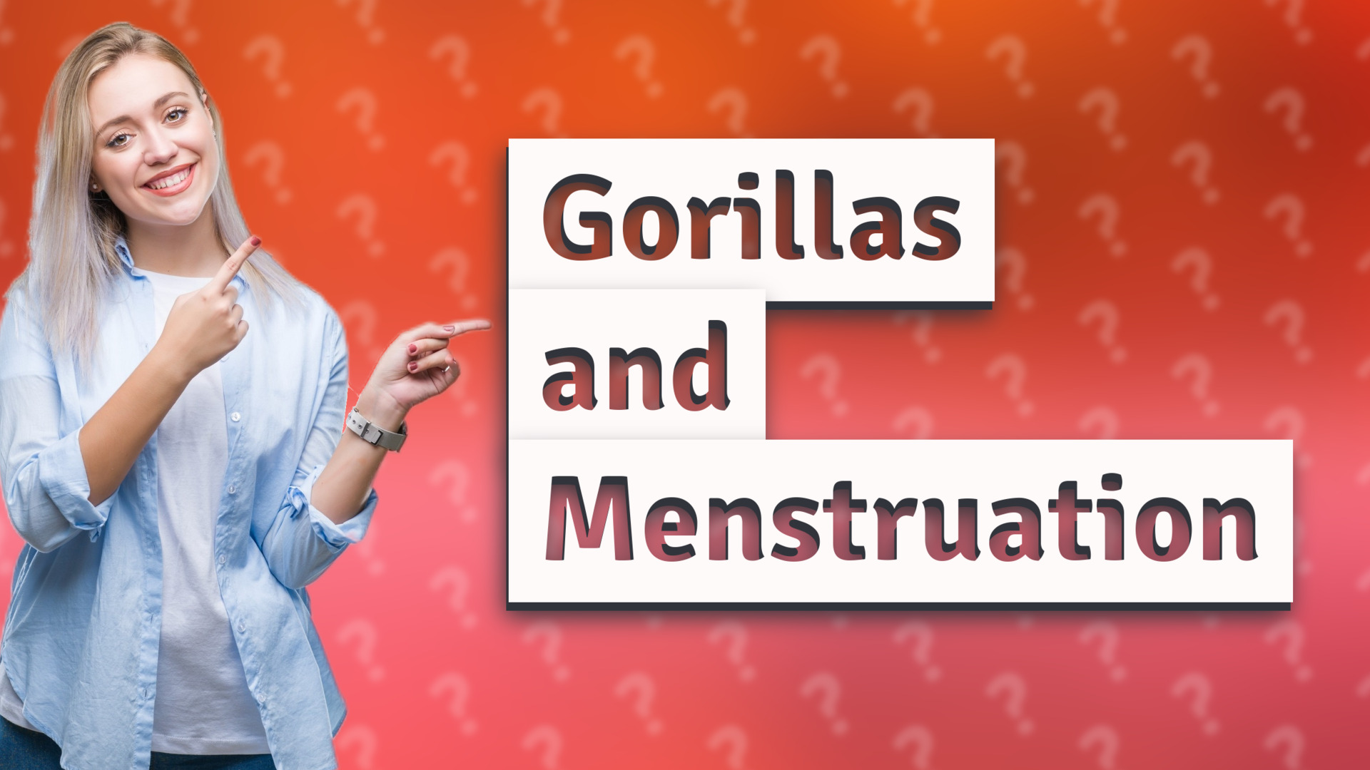 Gorillas and Menstruation