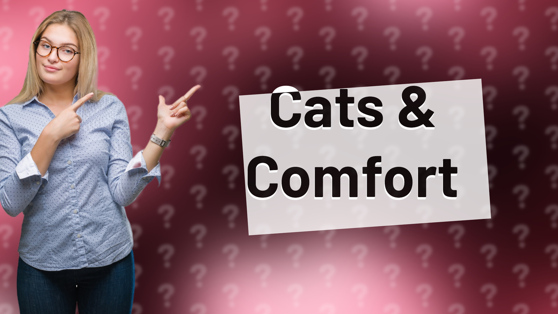 Cats & Comfort