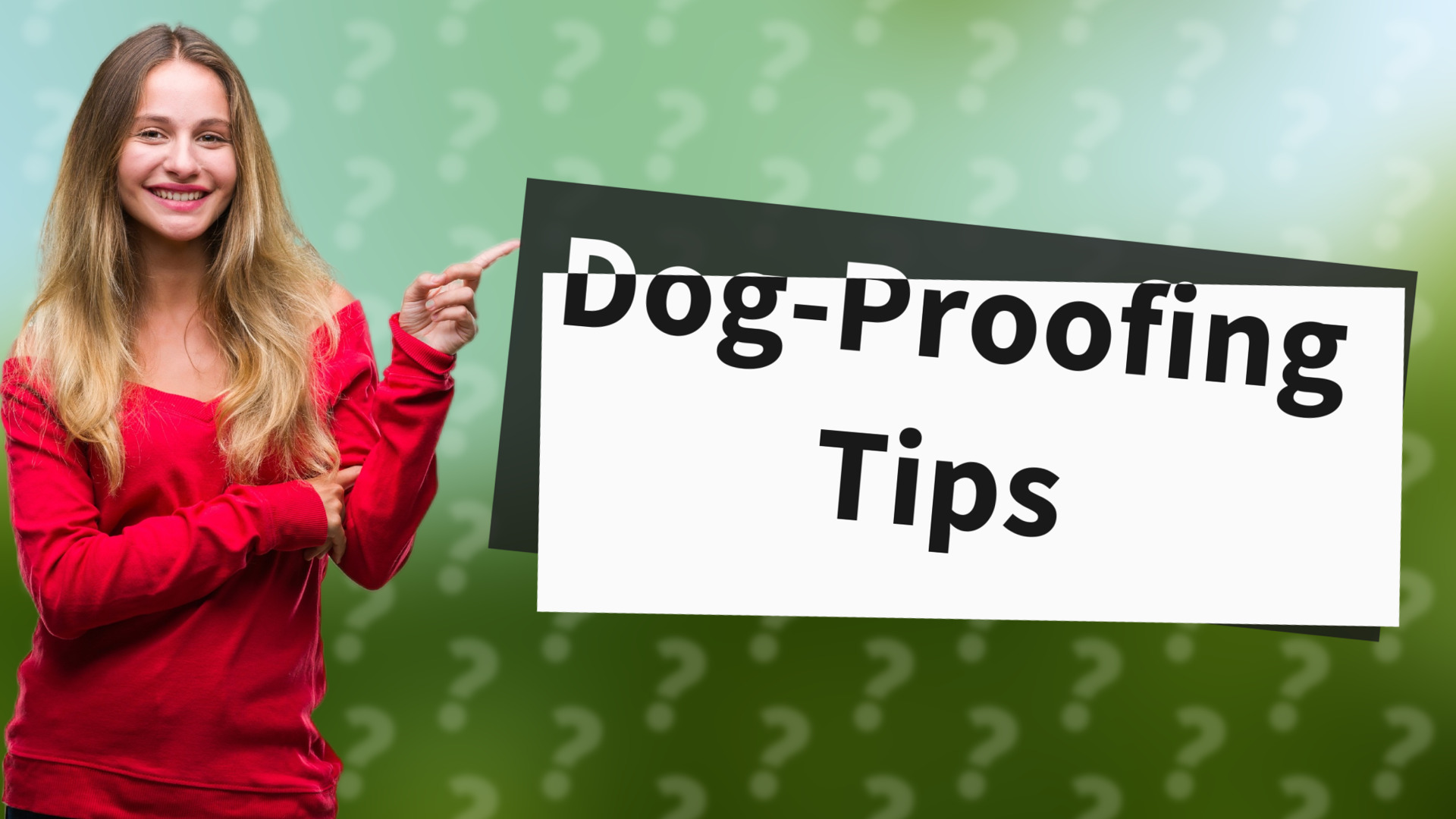 Dog-Proofing Tips