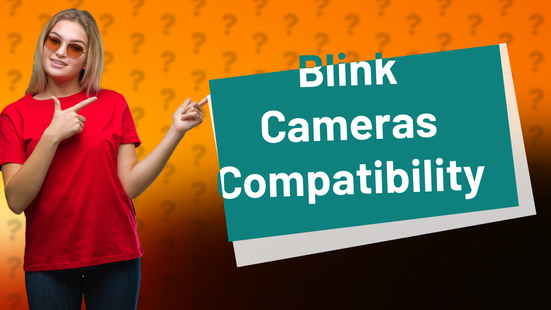 Blink Cameras Compatibility