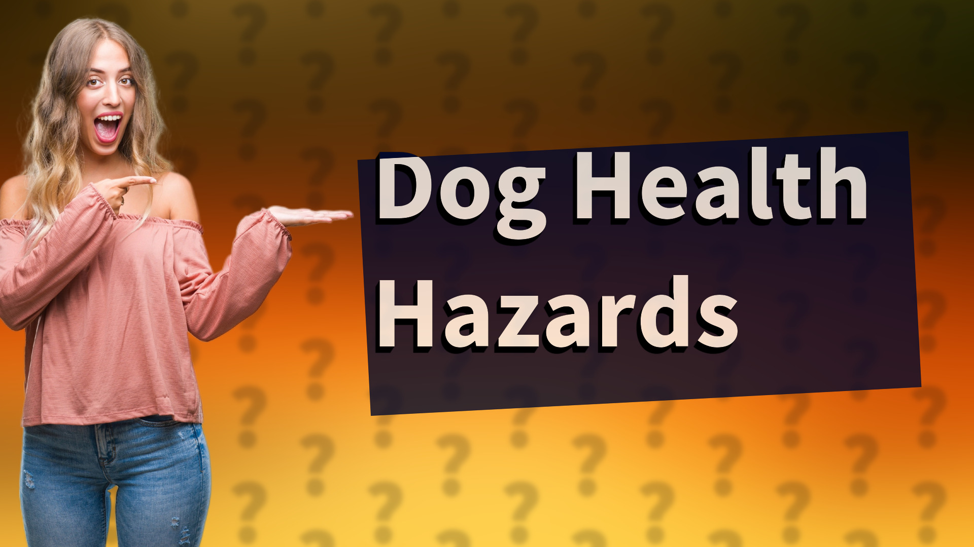 Dog Health Hazards