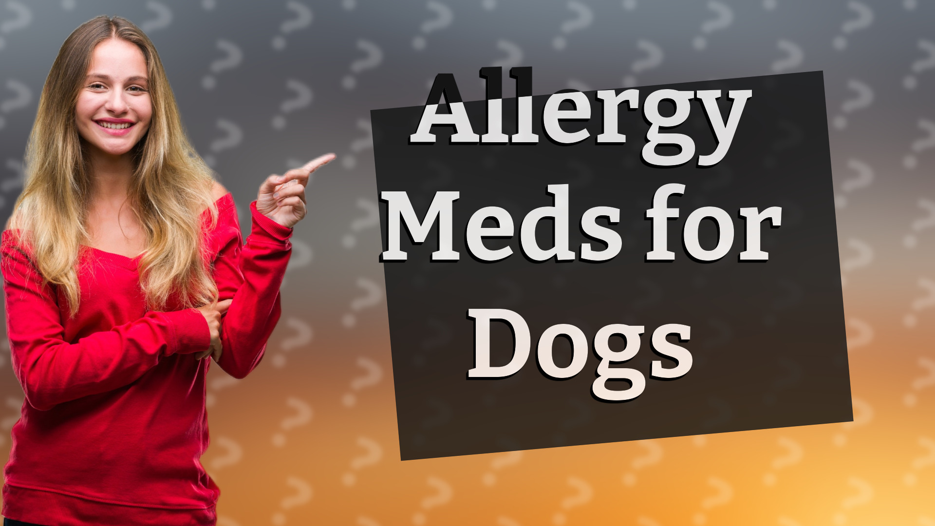Allergy Meds for Dogs