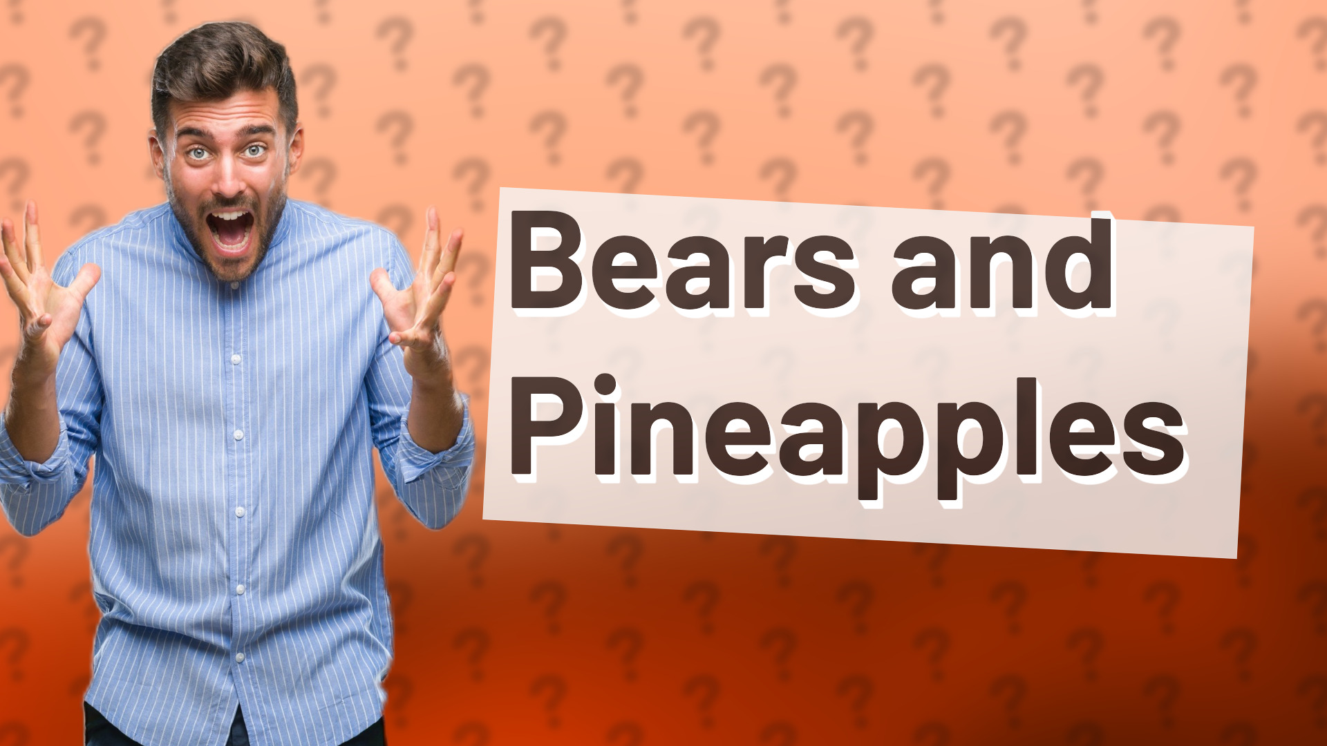 Bears and Pineapples