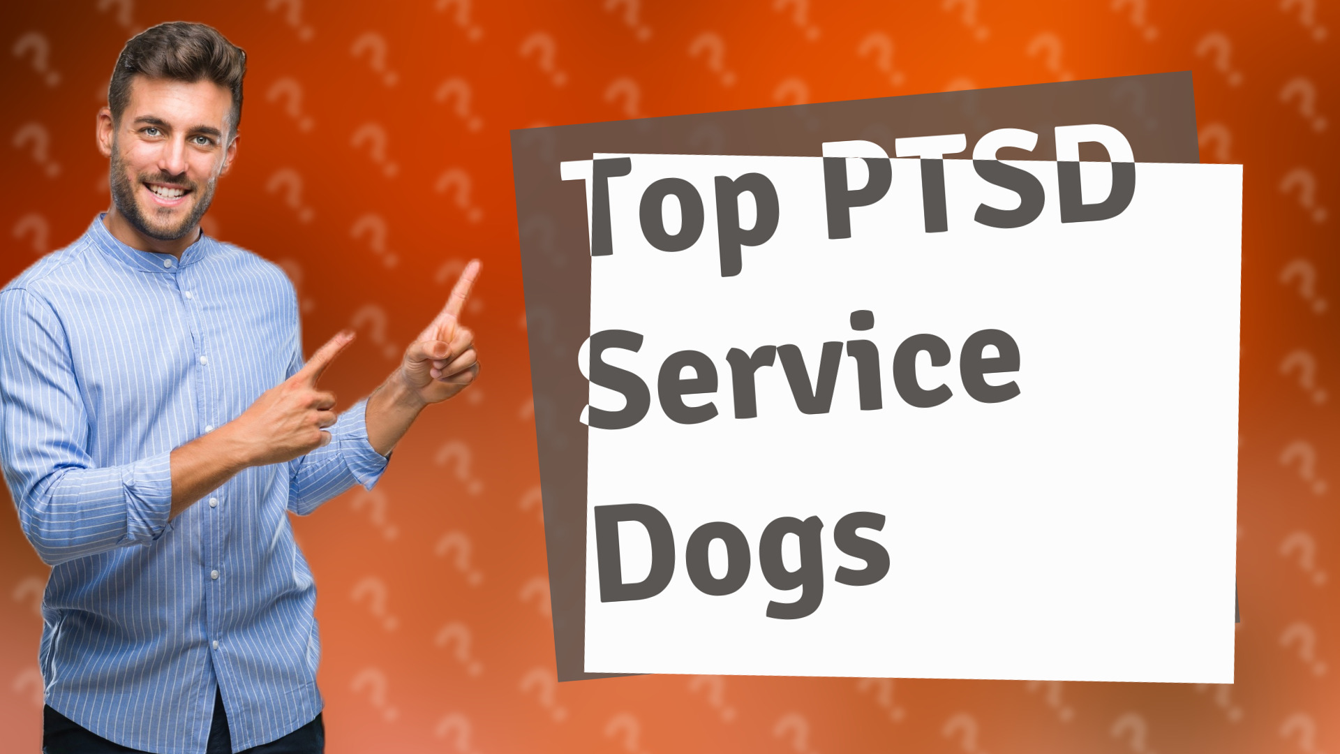 Top PTSD Service Dogs