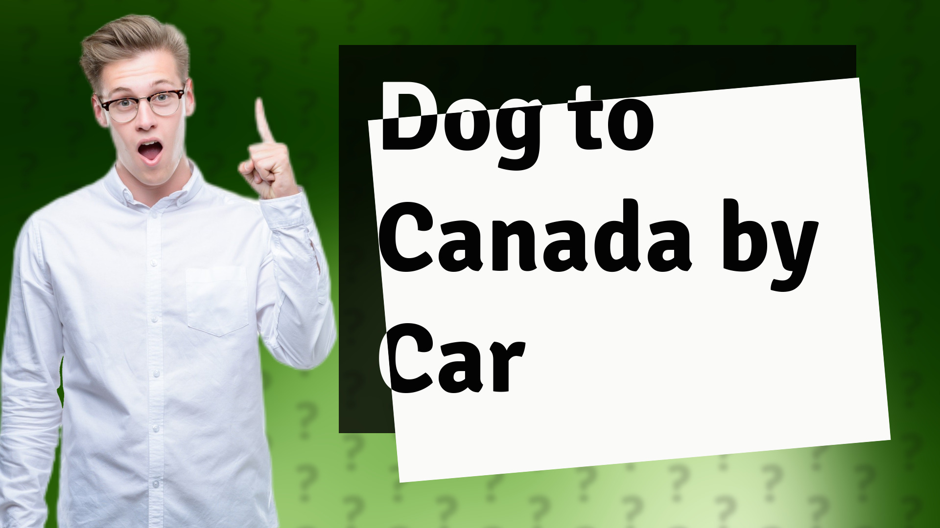 Dog to Canada by Car