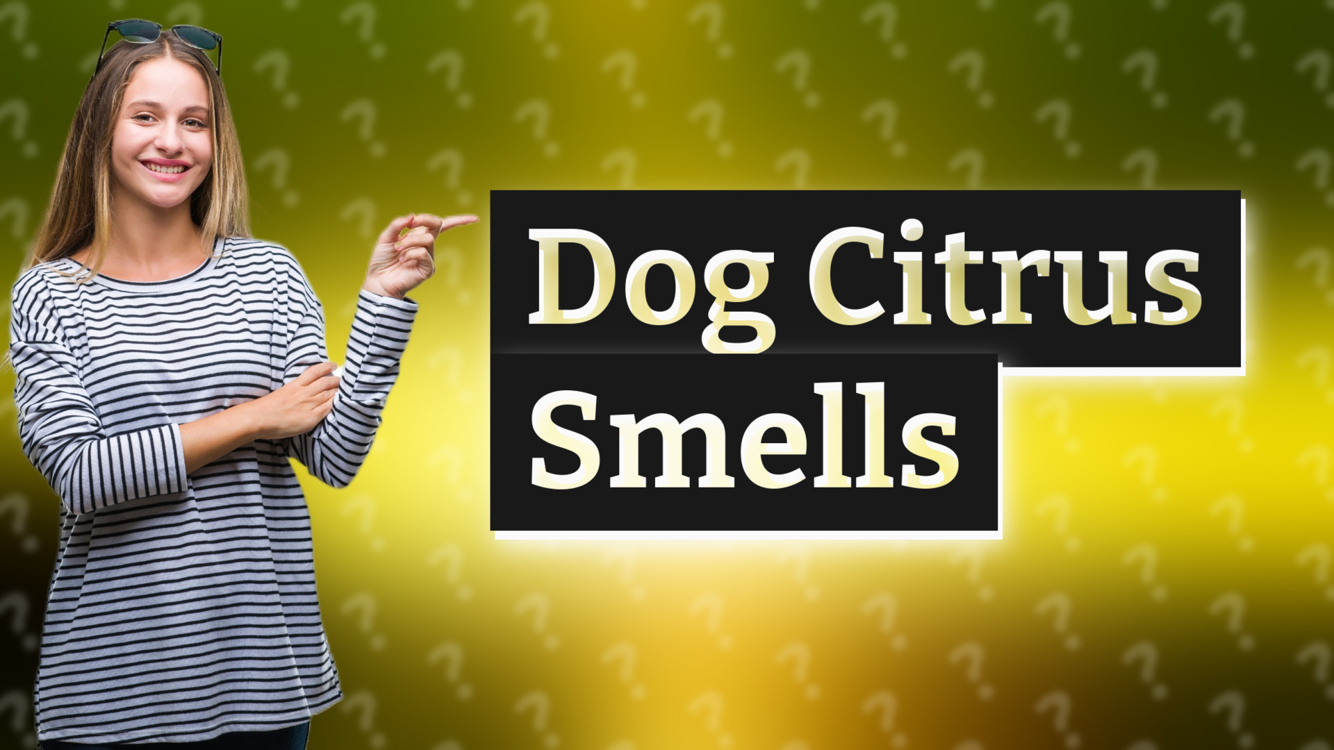 Dog Citrus Smells
