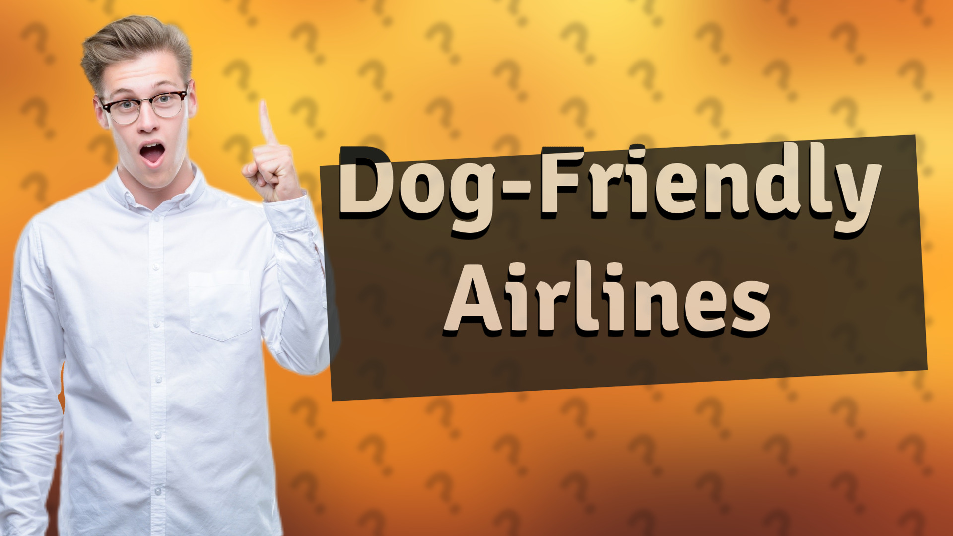 Dog-Friendly Airlines