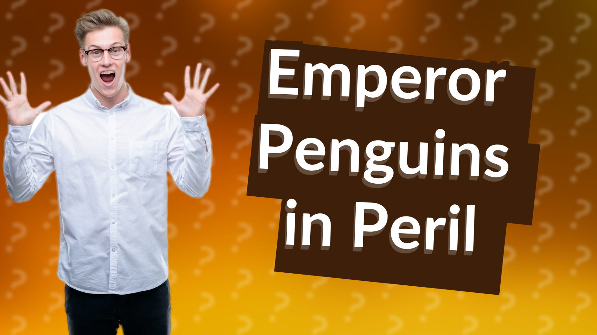 Emperor Penguins in Peril