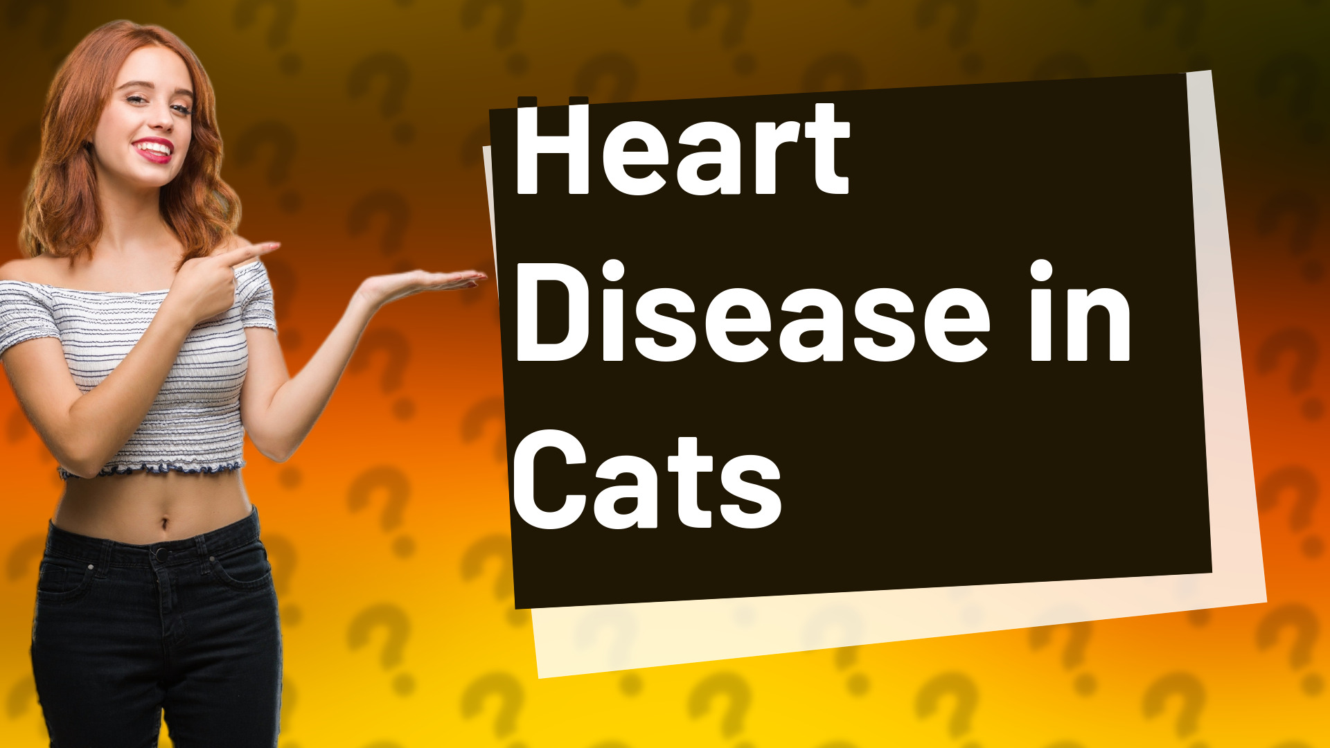Heart Disease in Cats