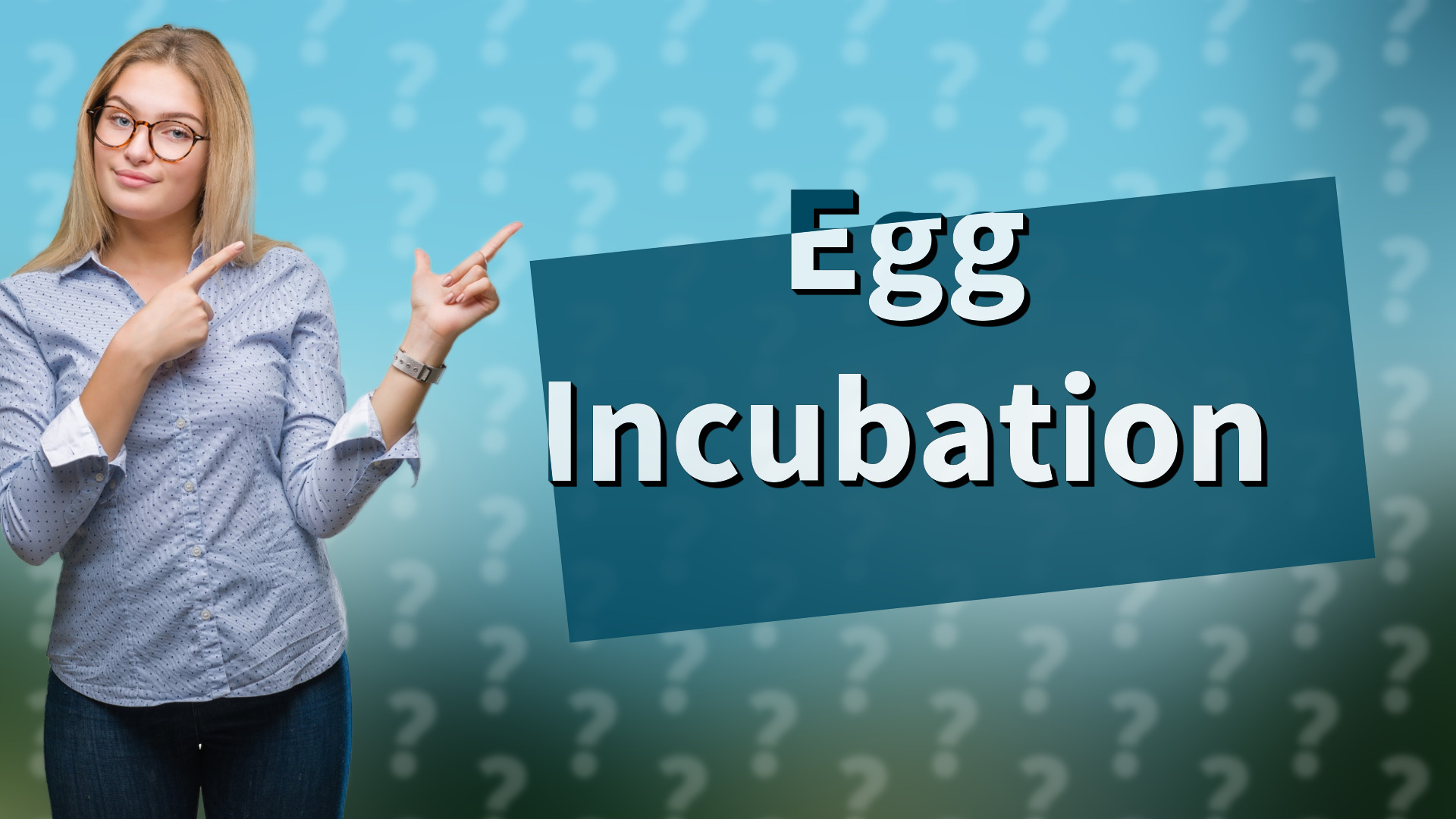 Egg Incubation