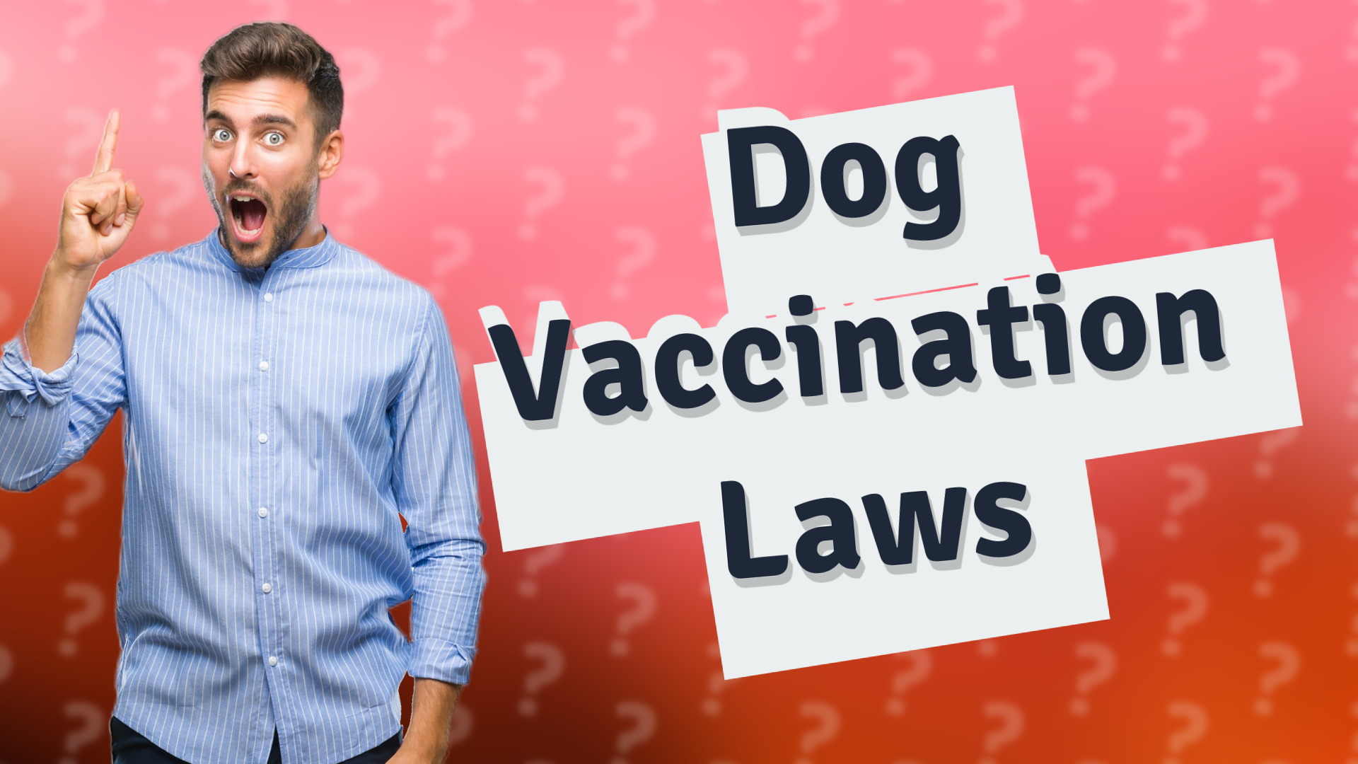 Dog Vaccination Laws