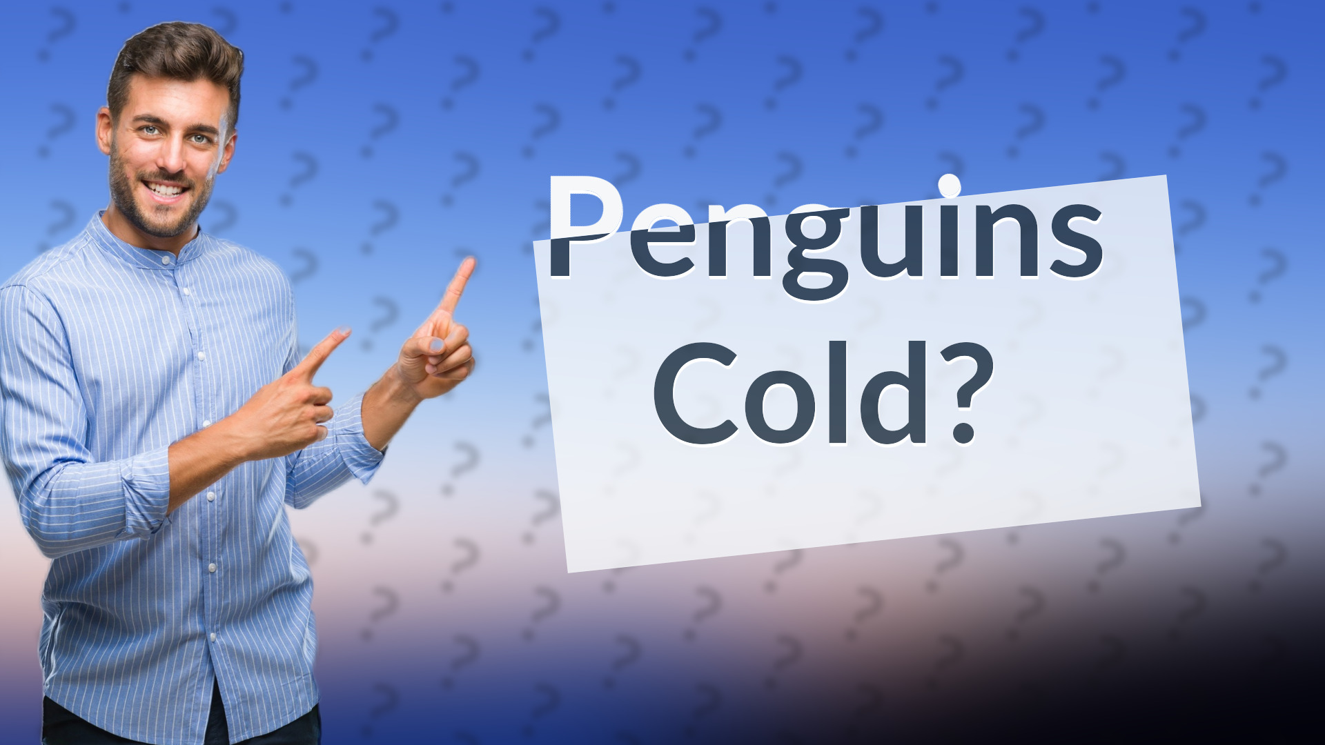 Penguins Cold?
