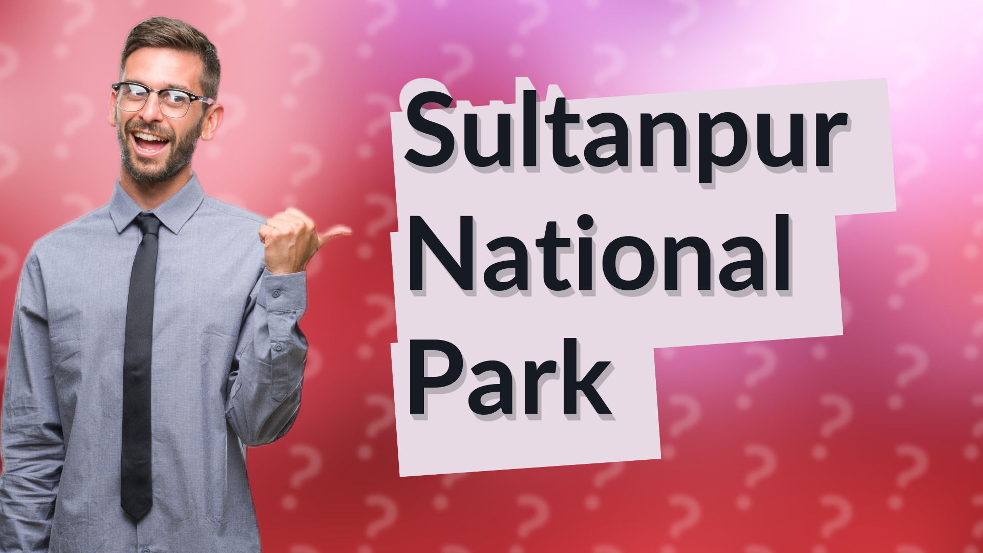Sultanpur National Park