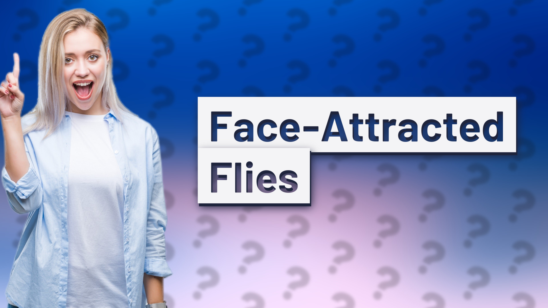 Face-Attracted Flies