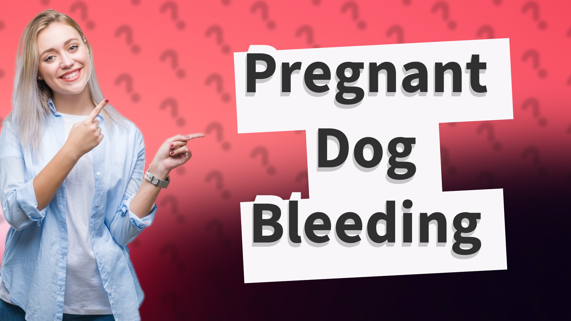 Pregnant Dog Bleeding