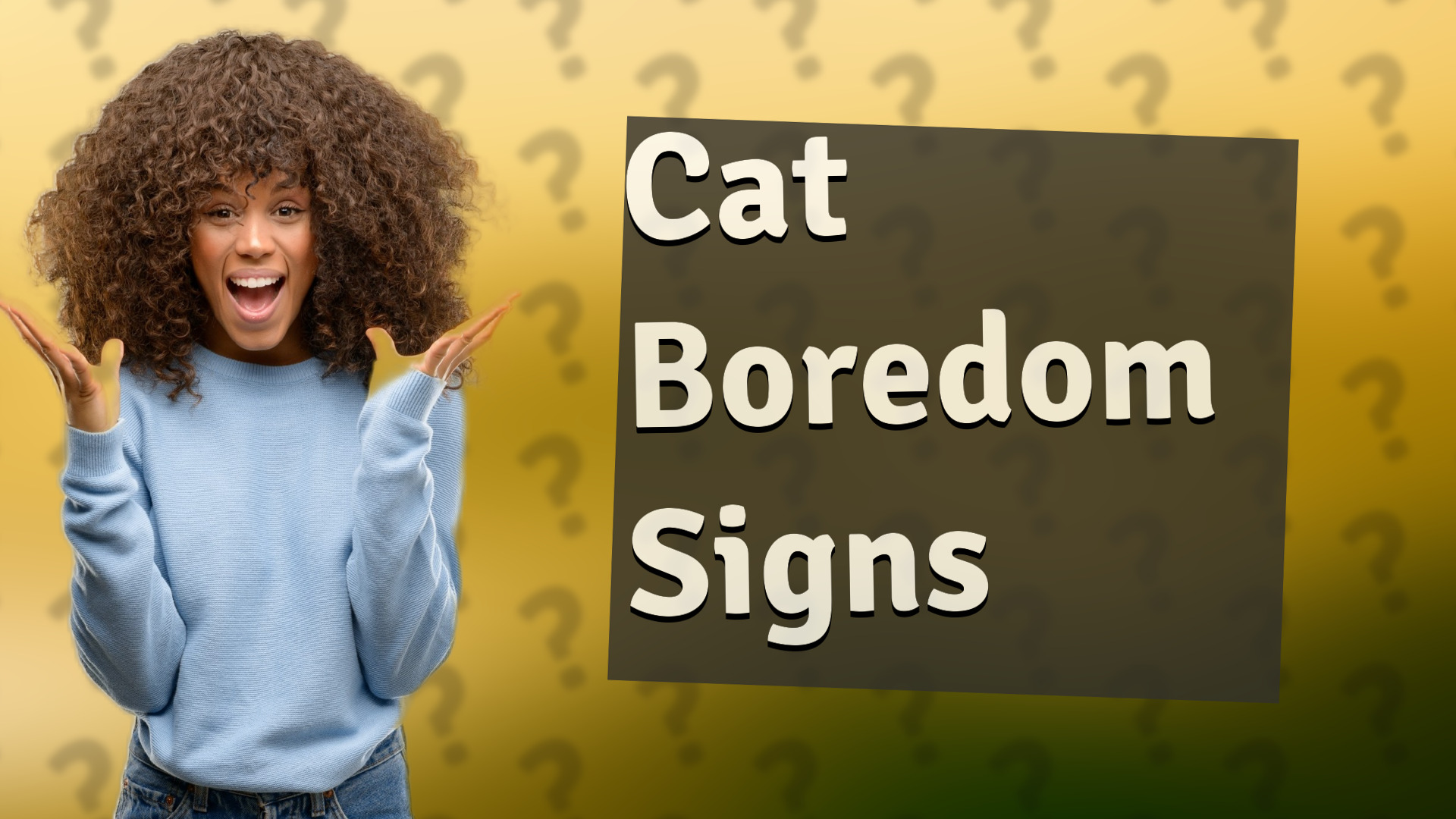 Cat Boredom Signs