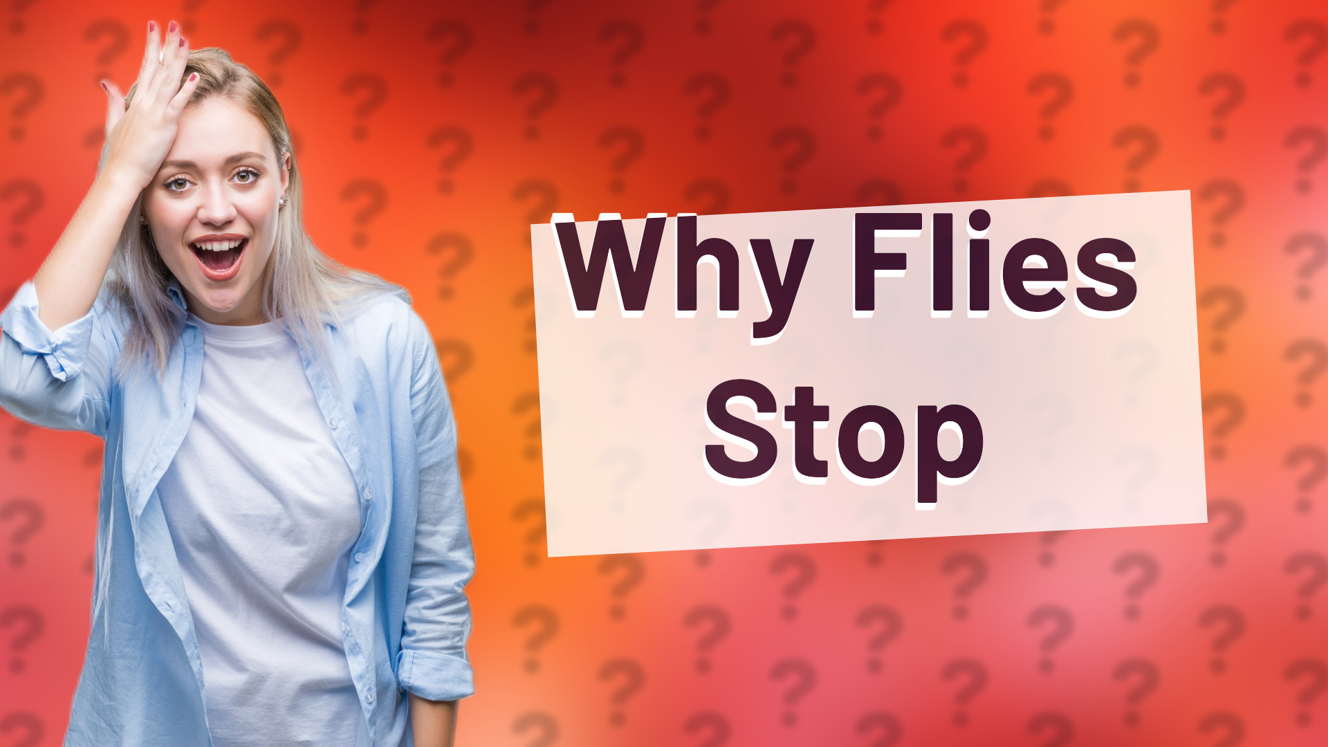 Why Flies Stop