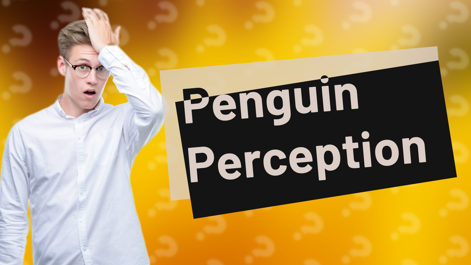 Penguin Perception