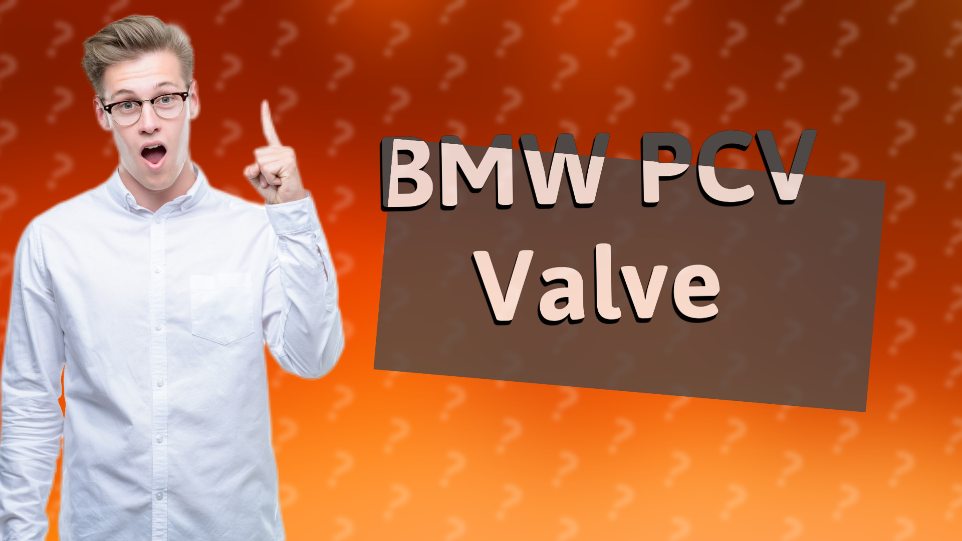 BMW PCV Valve