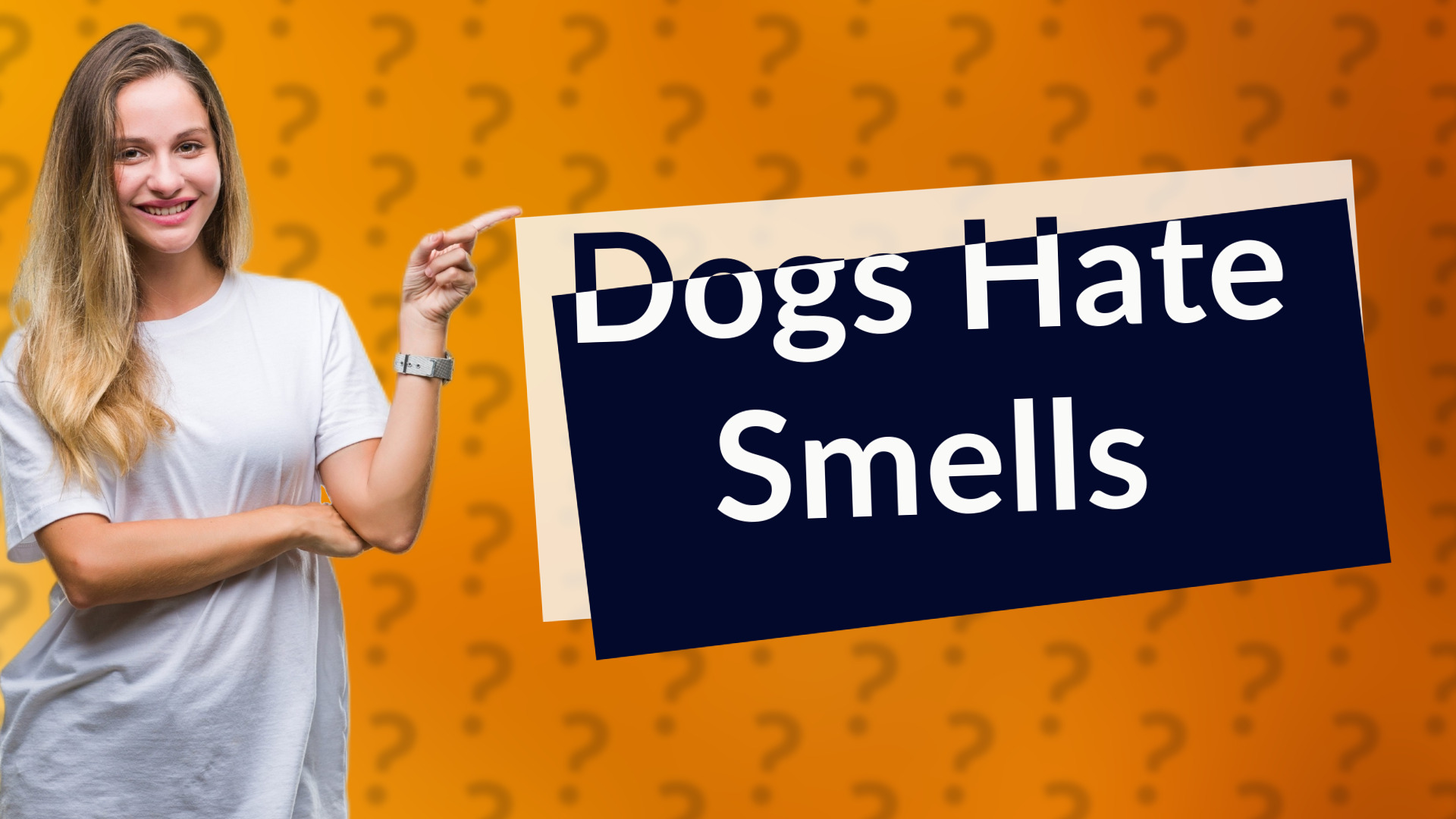 Dogs Hate Smells