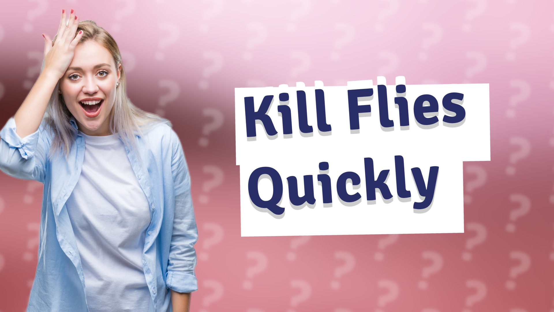 Kill Flies Quickly