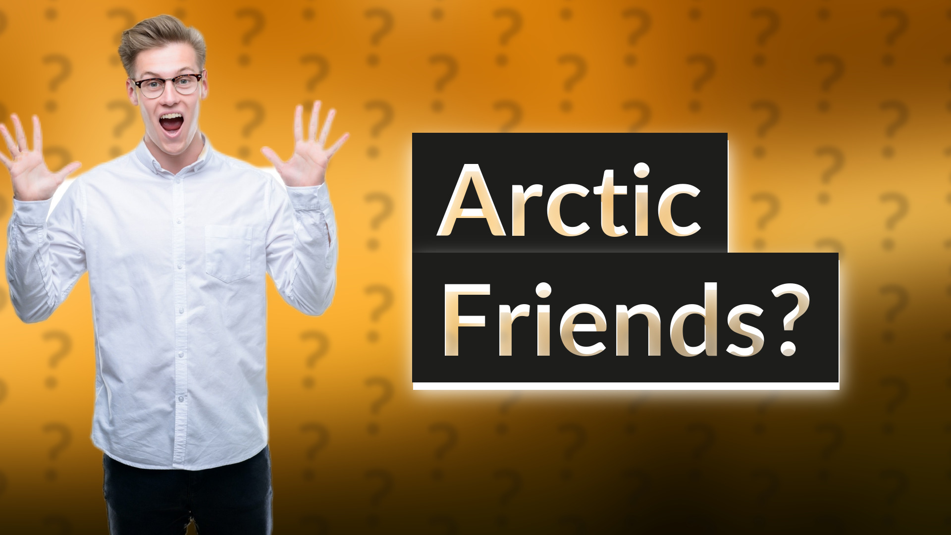 Arctic Friends?