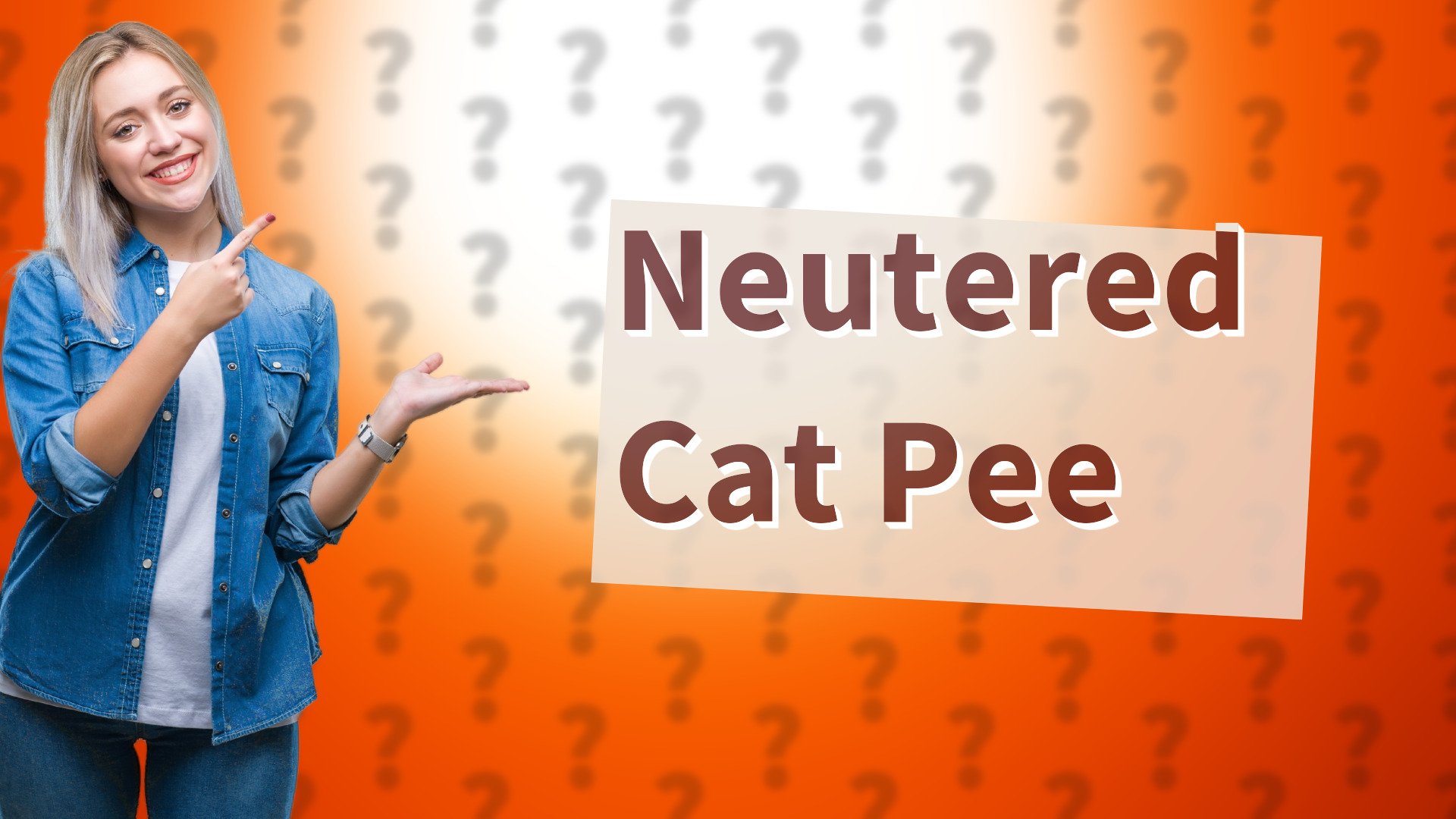 Neutered Cat Pee