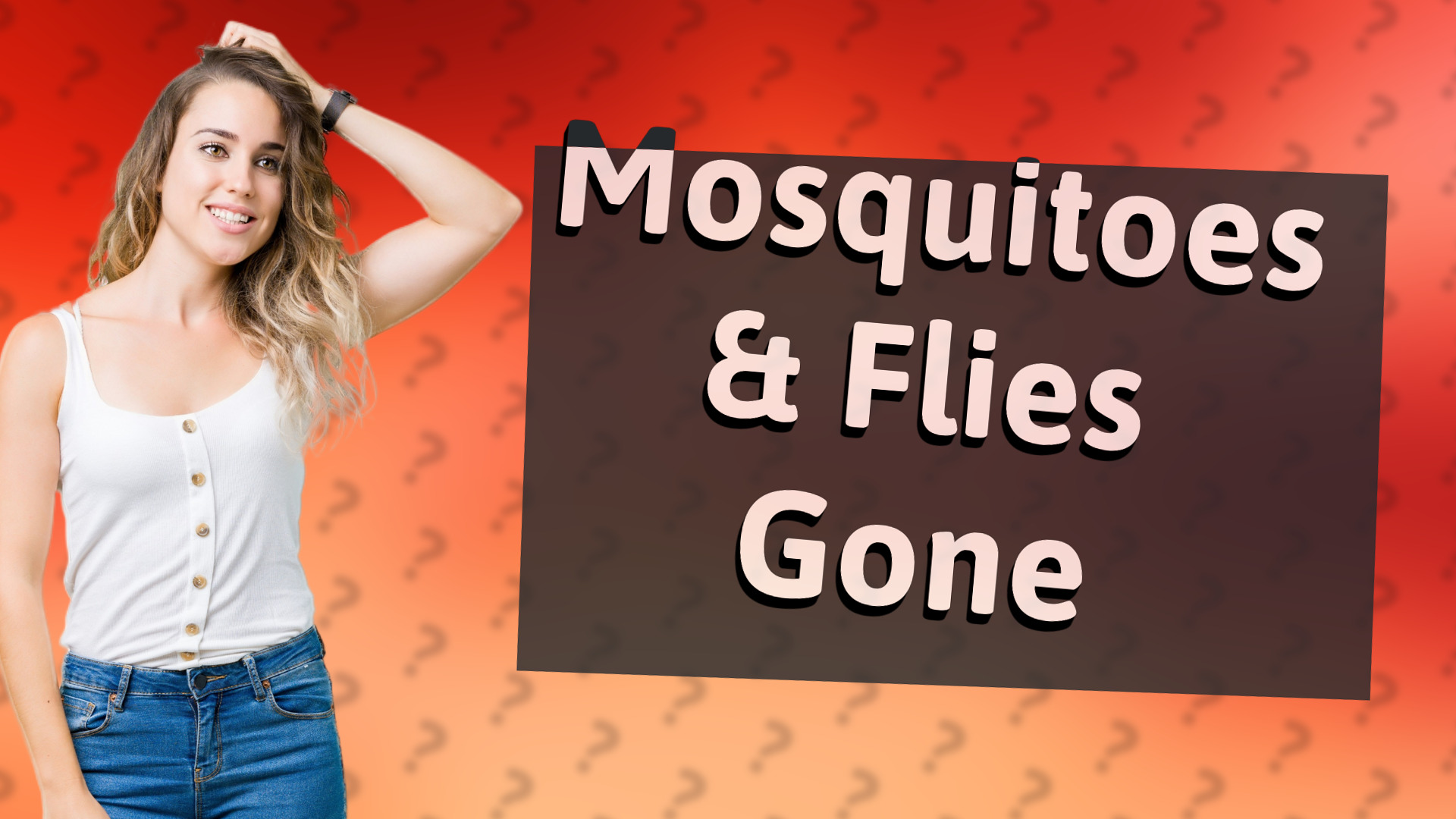 Mosquitoes & Flies Gone
