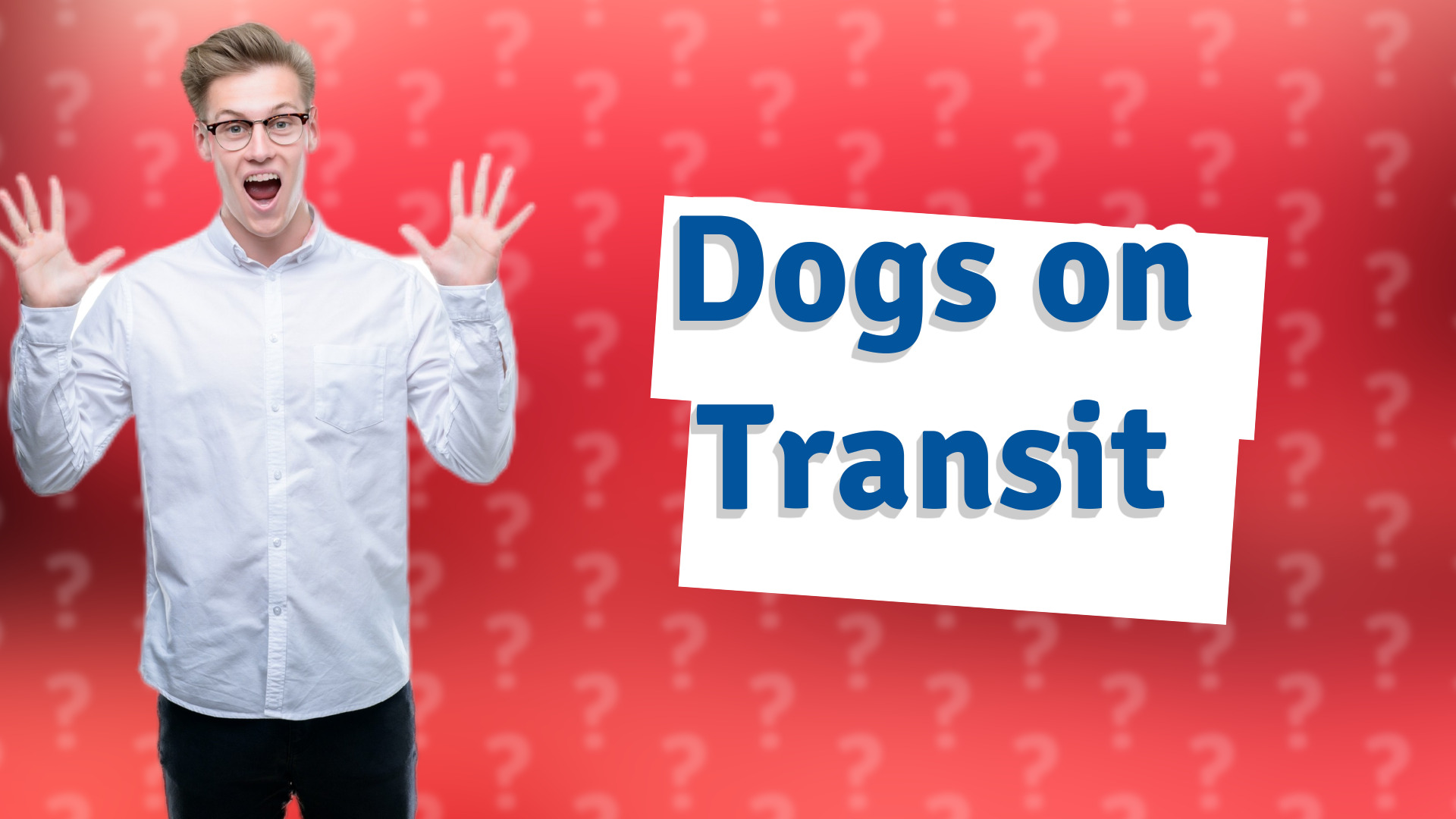 Dogs on Transit