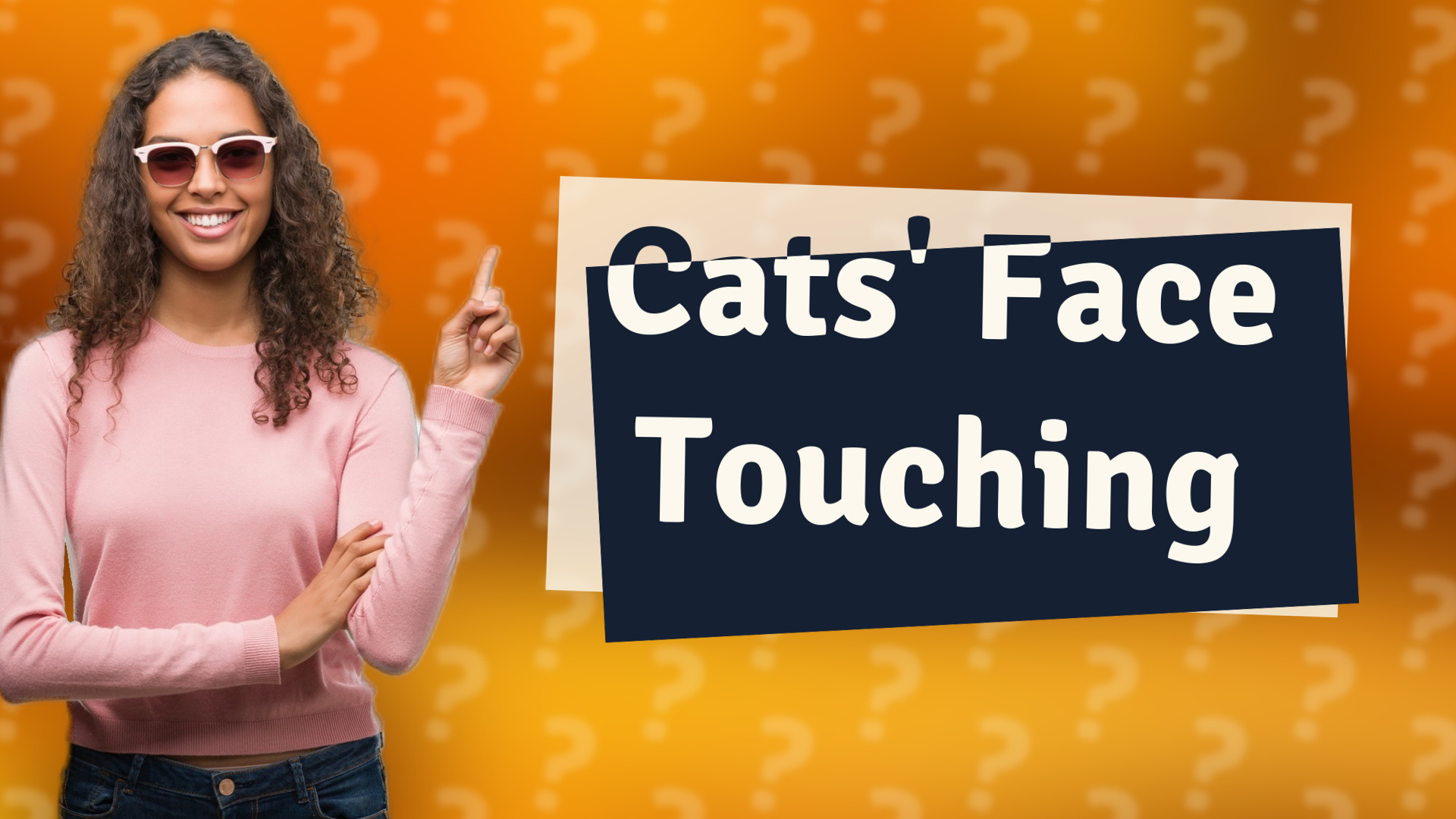Cats' Face Touching