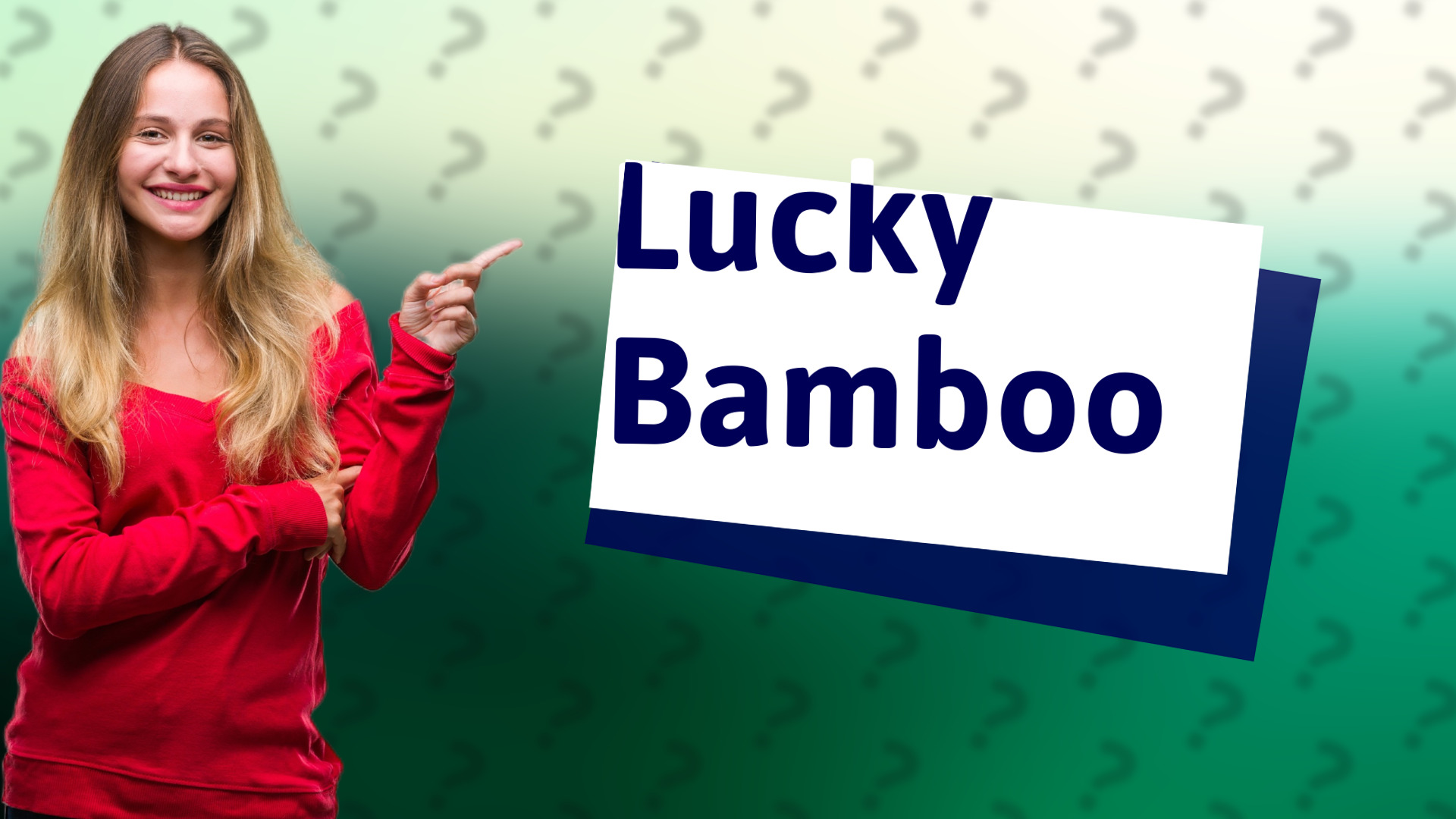 Lucky Bamboo