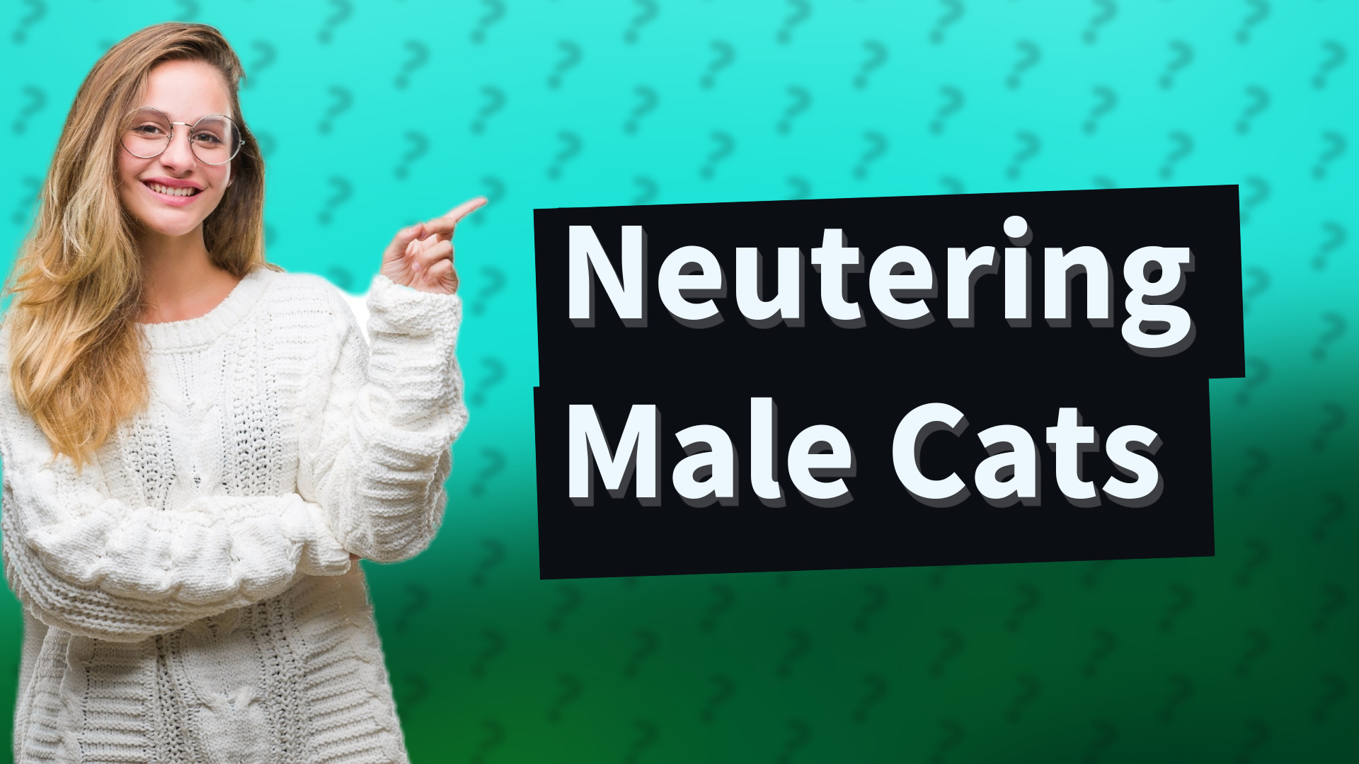 Neutering Male Cats
