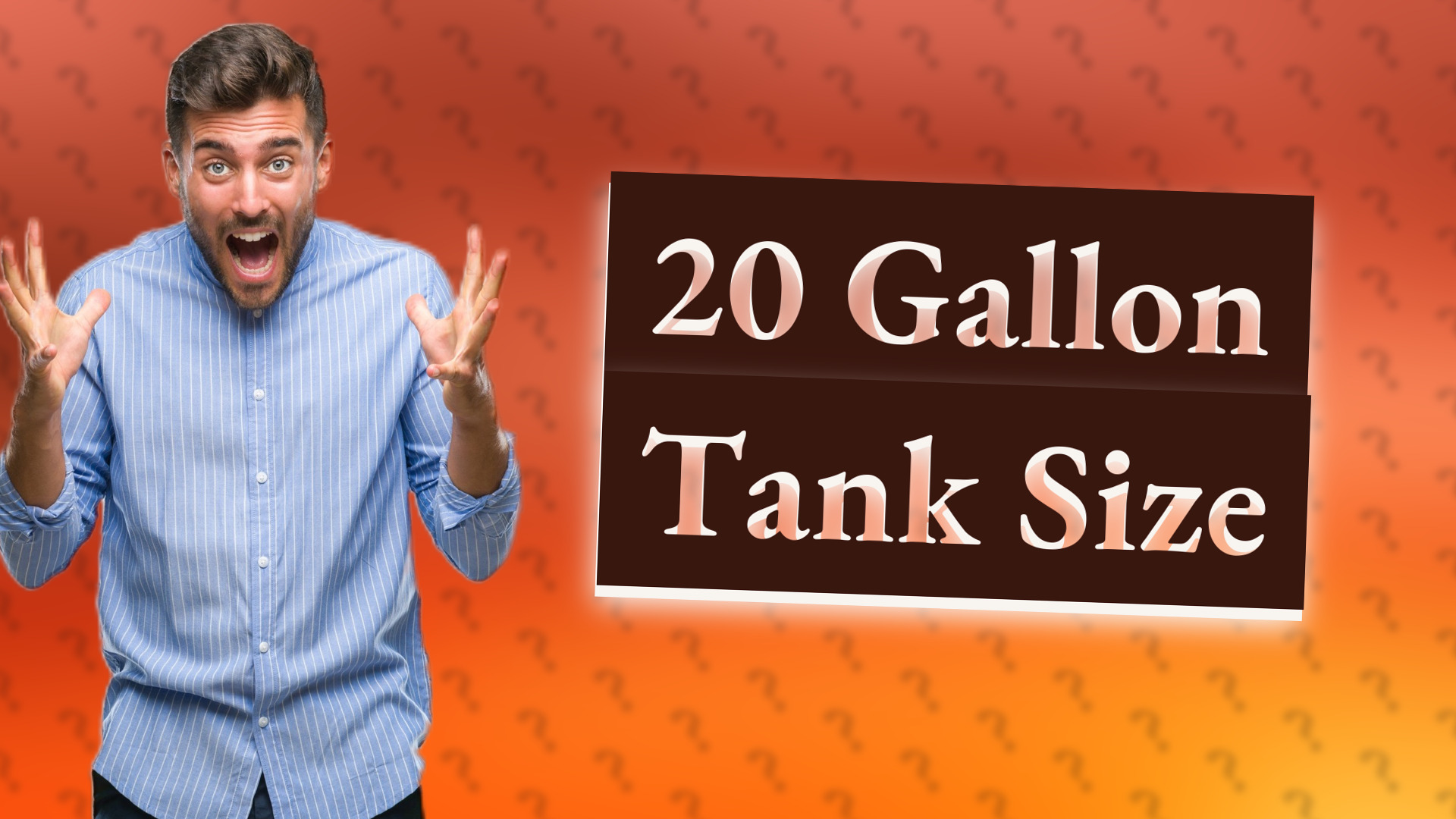 20 Gallon Tank Size