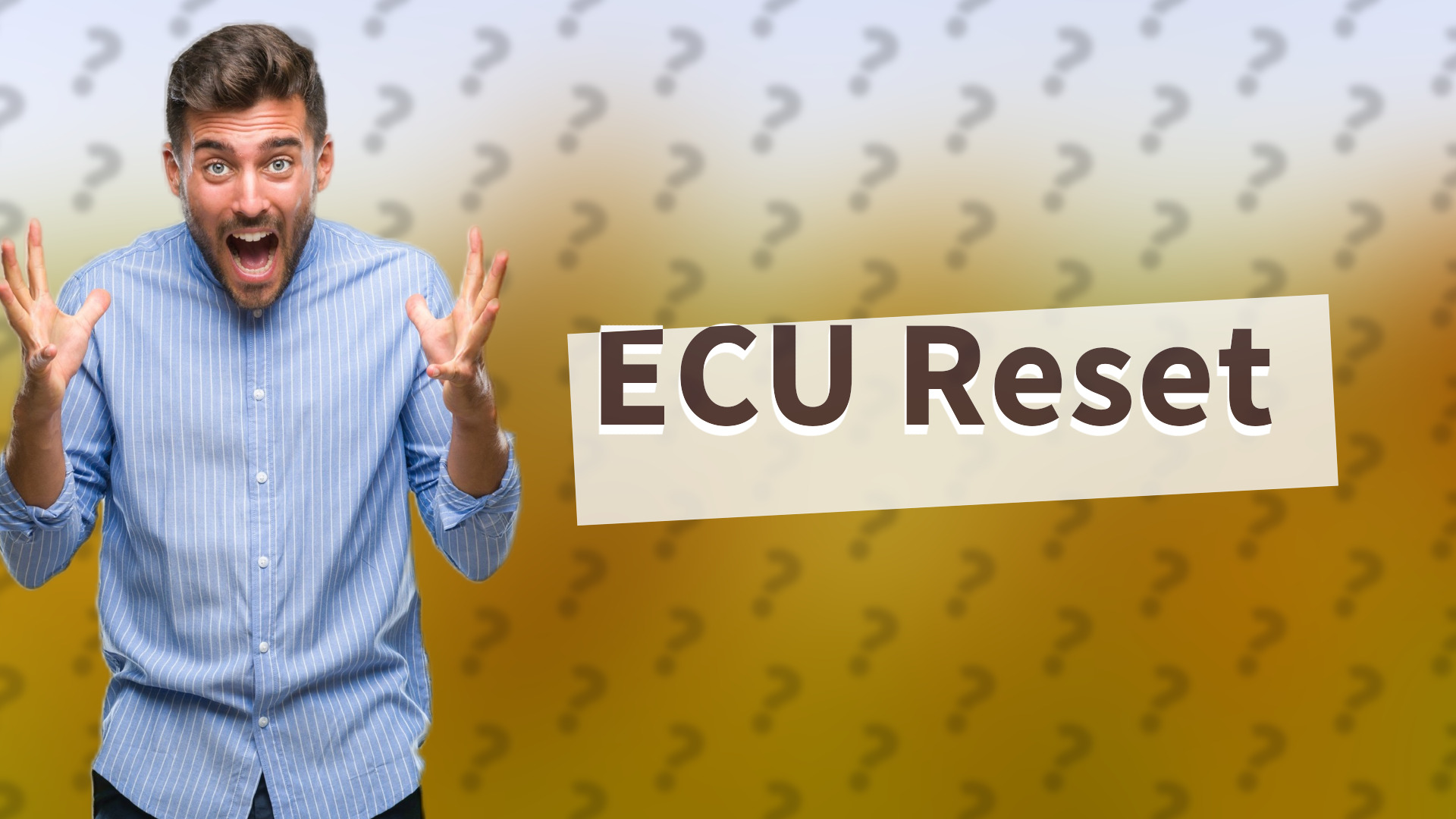 ECU Reset