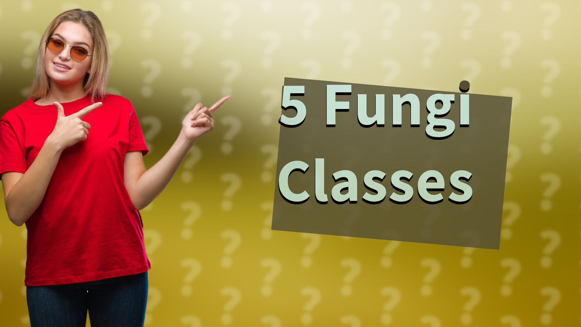 5 Fungi Classes