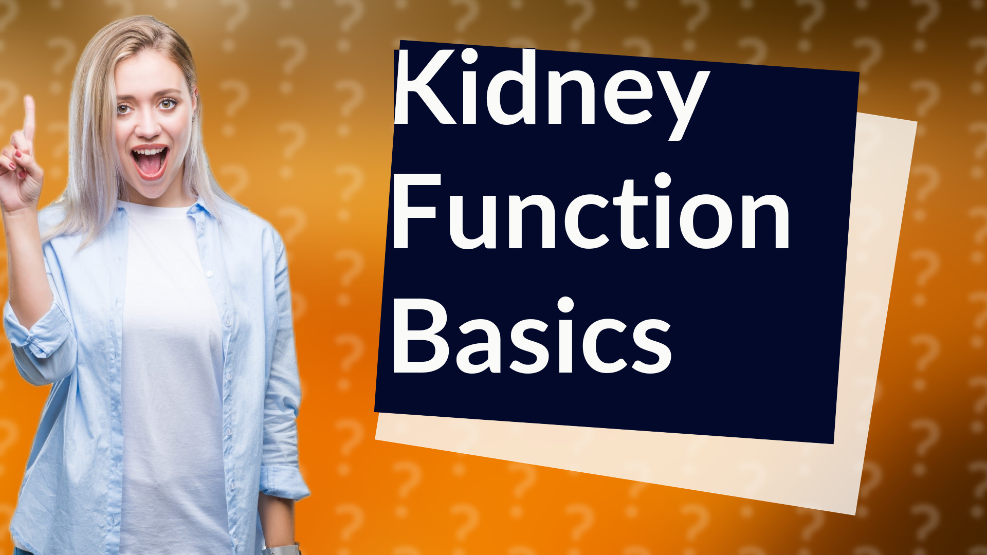 Kidney Function Basics