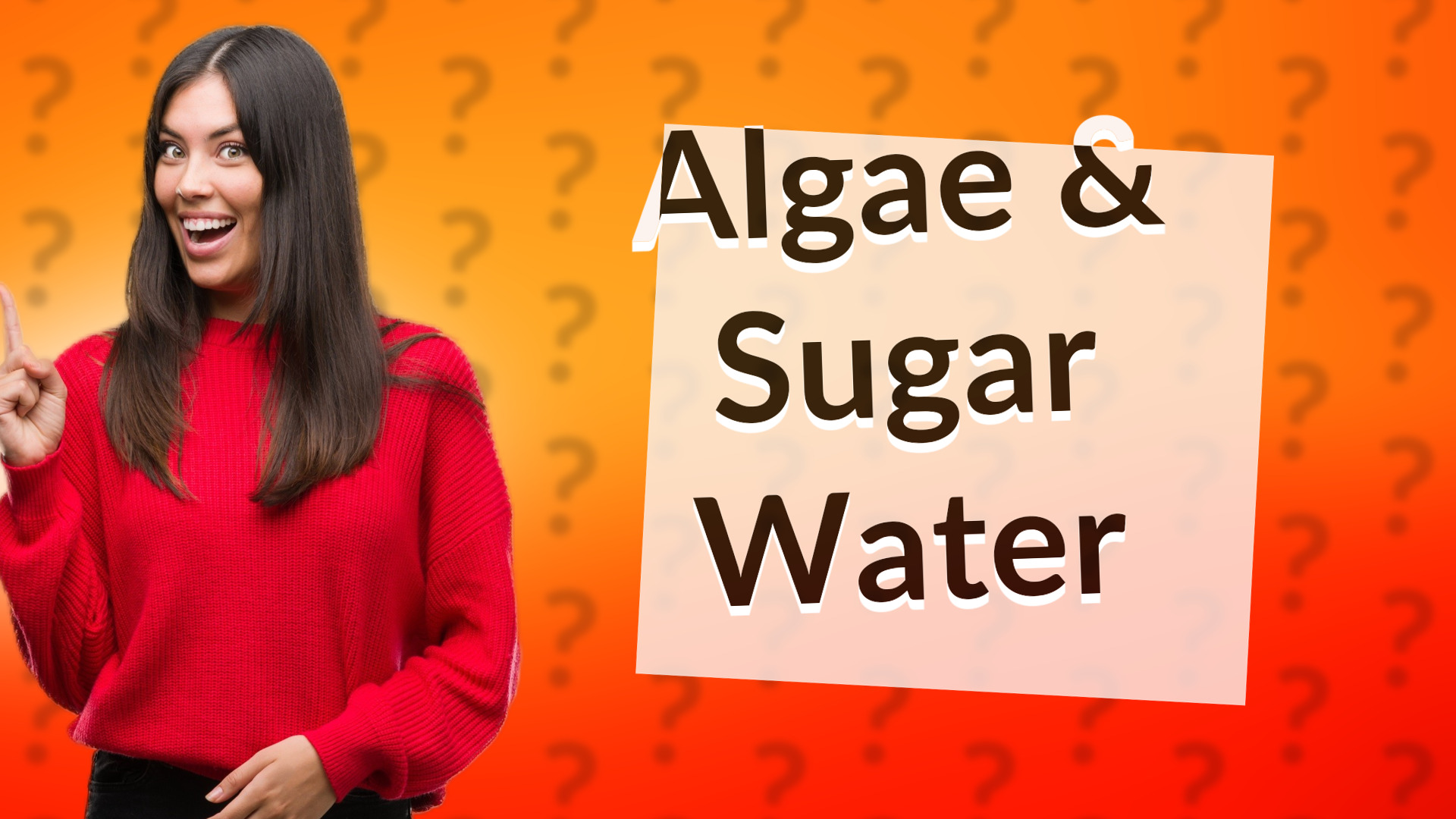 Algae & Sugar Water
