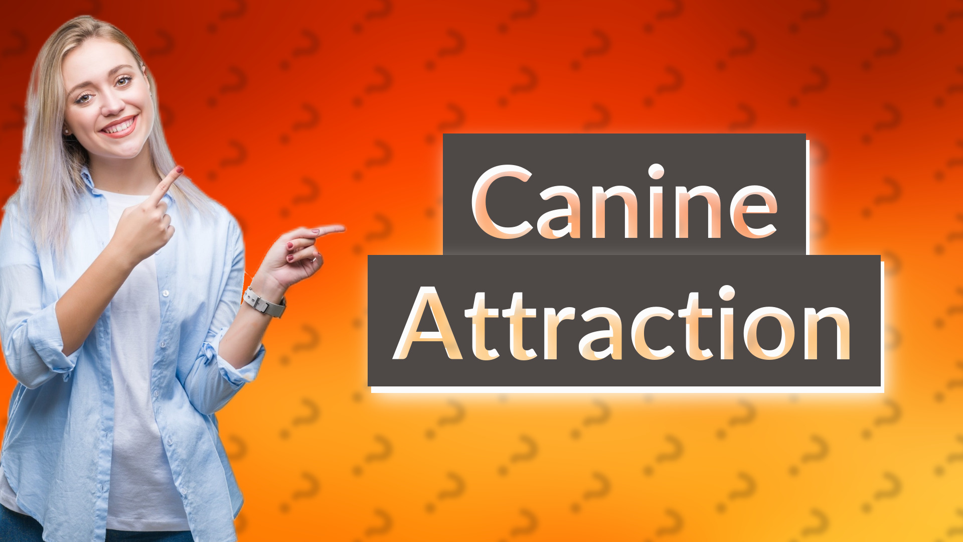 Canine Attraction