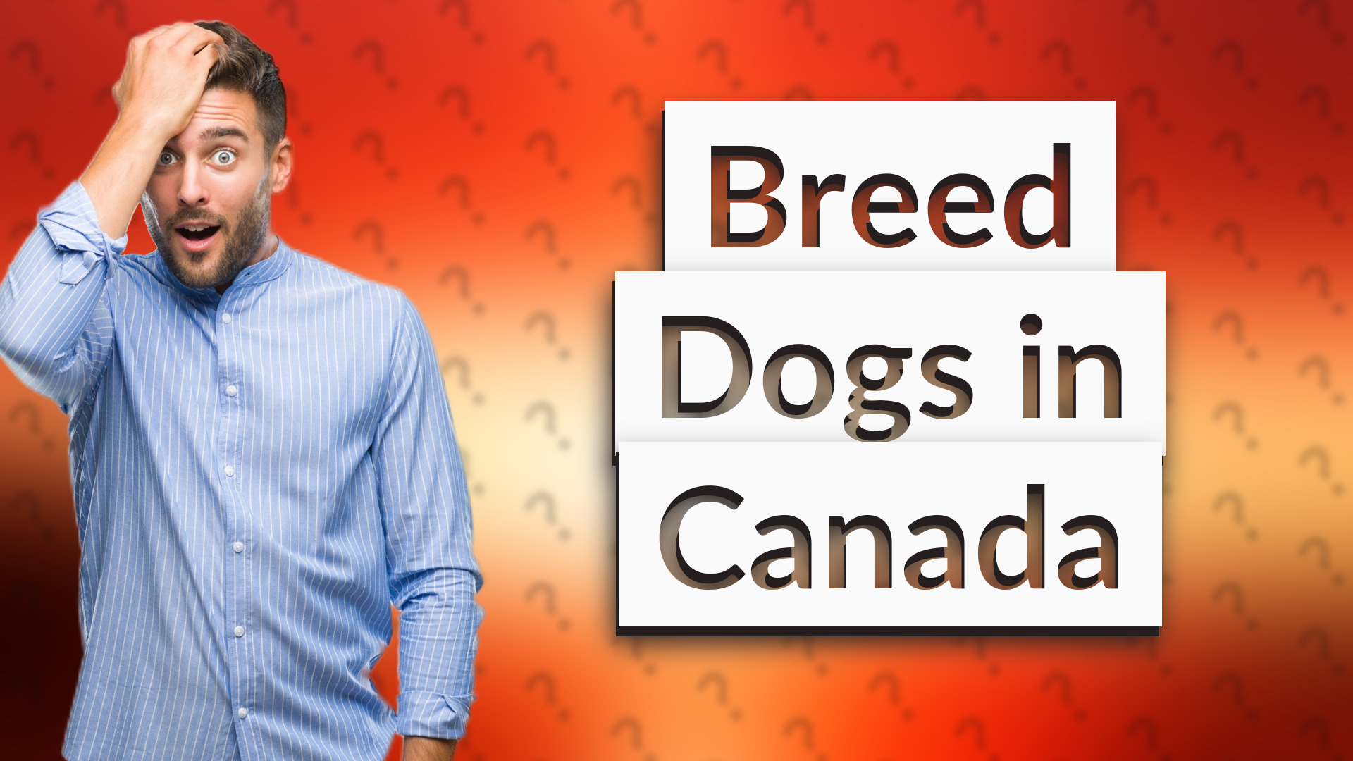 Breed Dogs in Canada