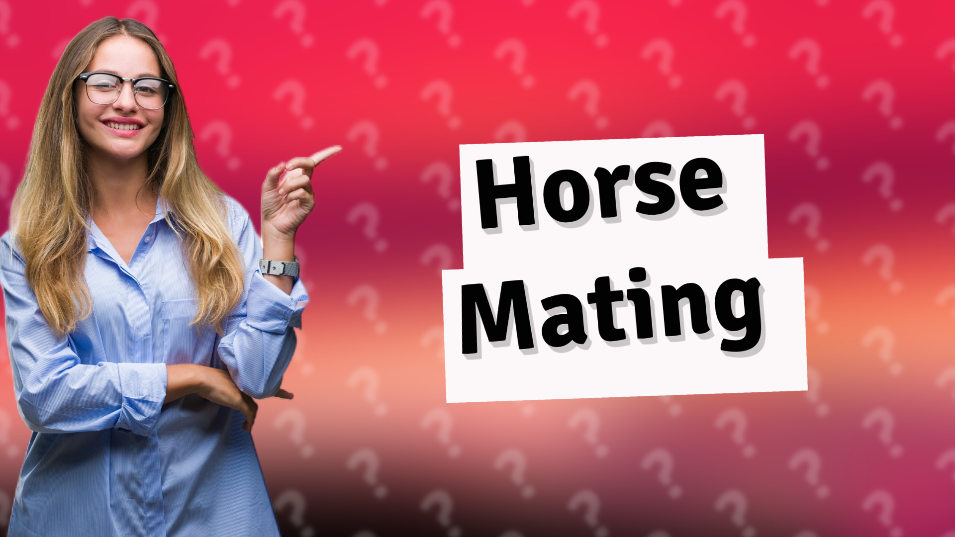 Horse Mating