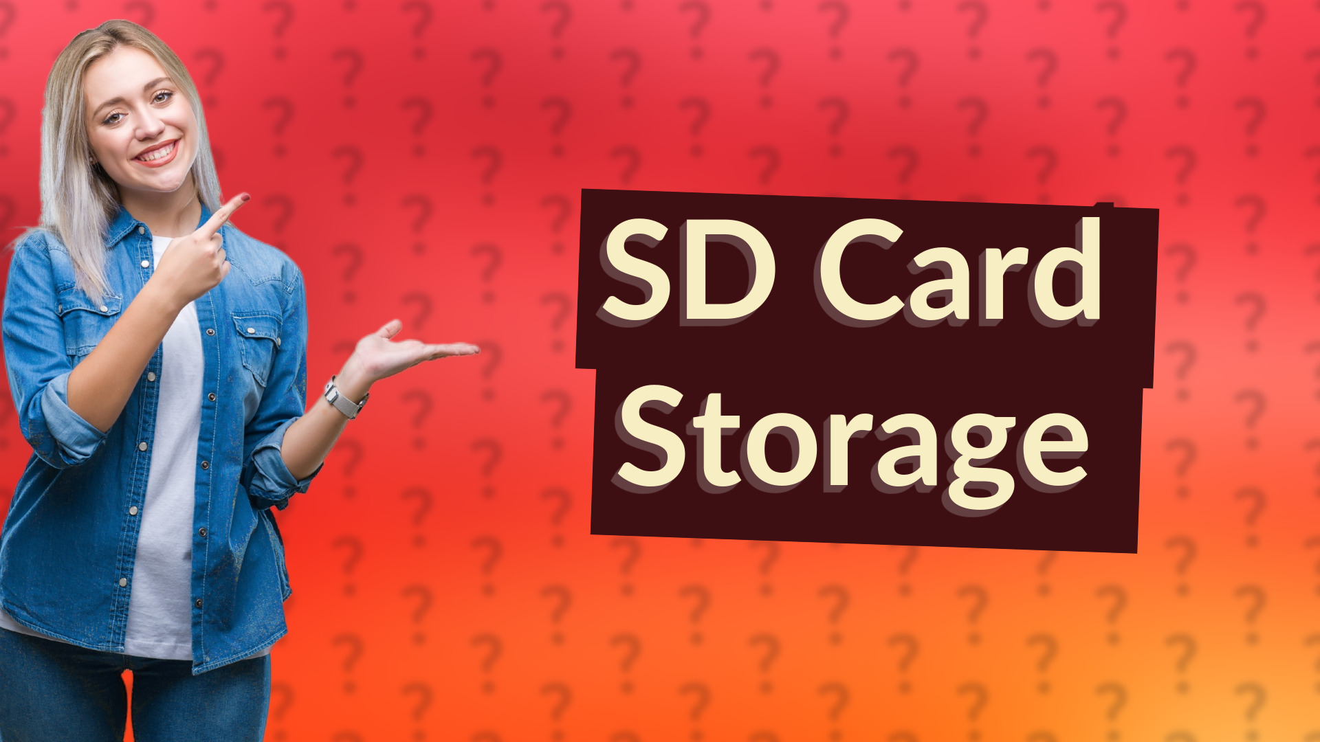 SD Card Storage