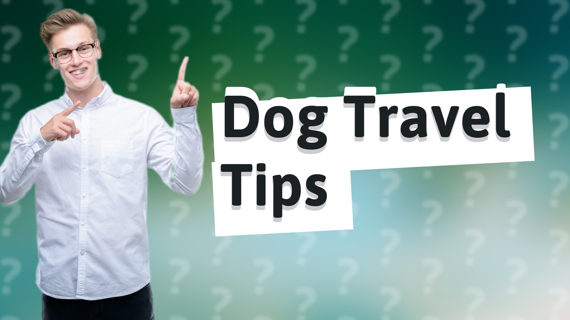 Dog Travel Tips