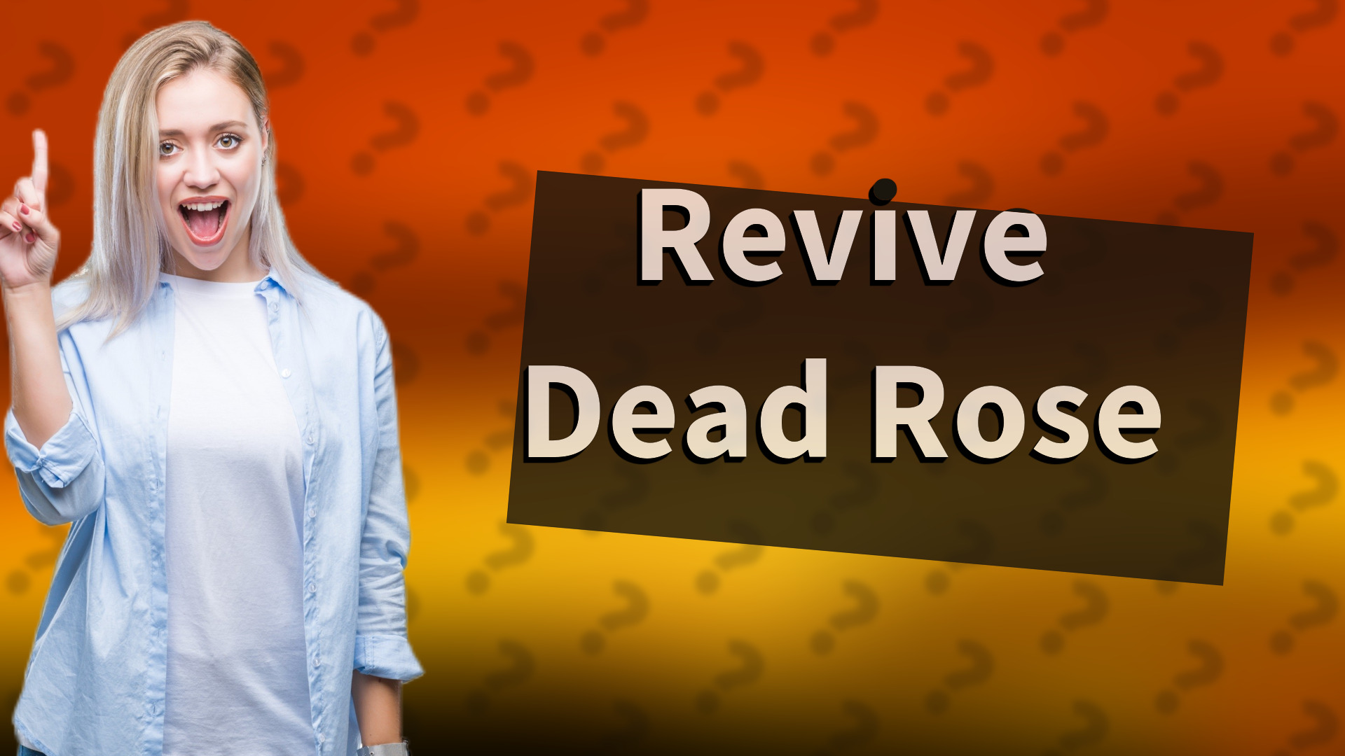Revive Dead Rose