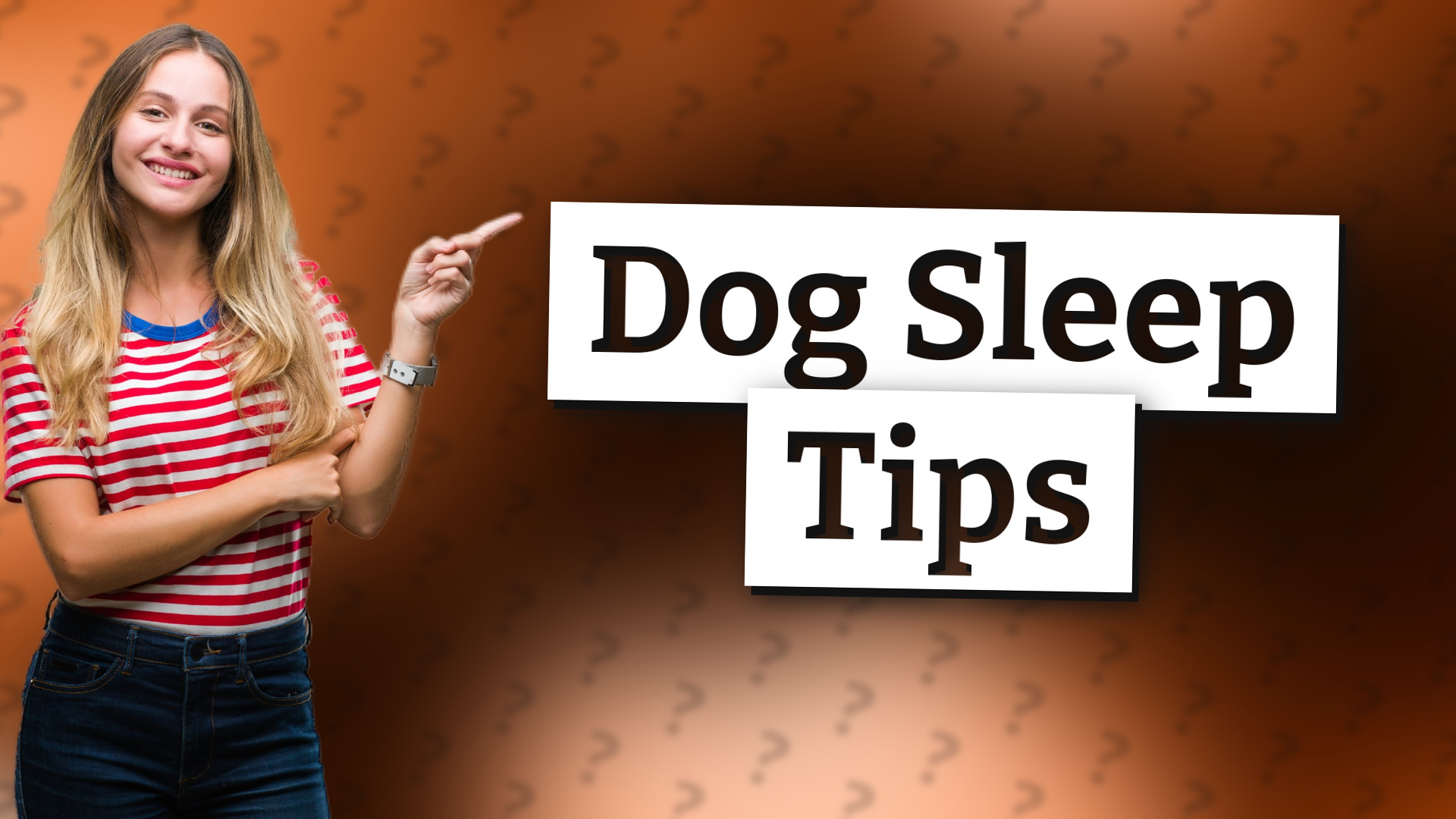 Dog Sleep Tips