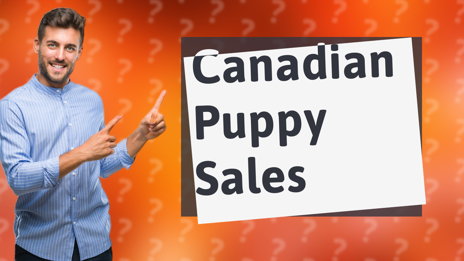 Canadian Puppy Sales