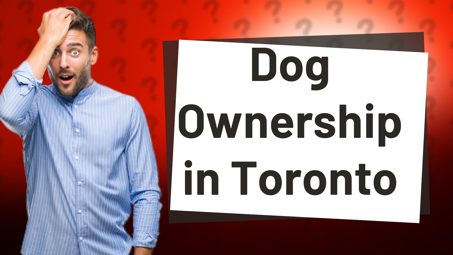 Dog Ownership in Toronto