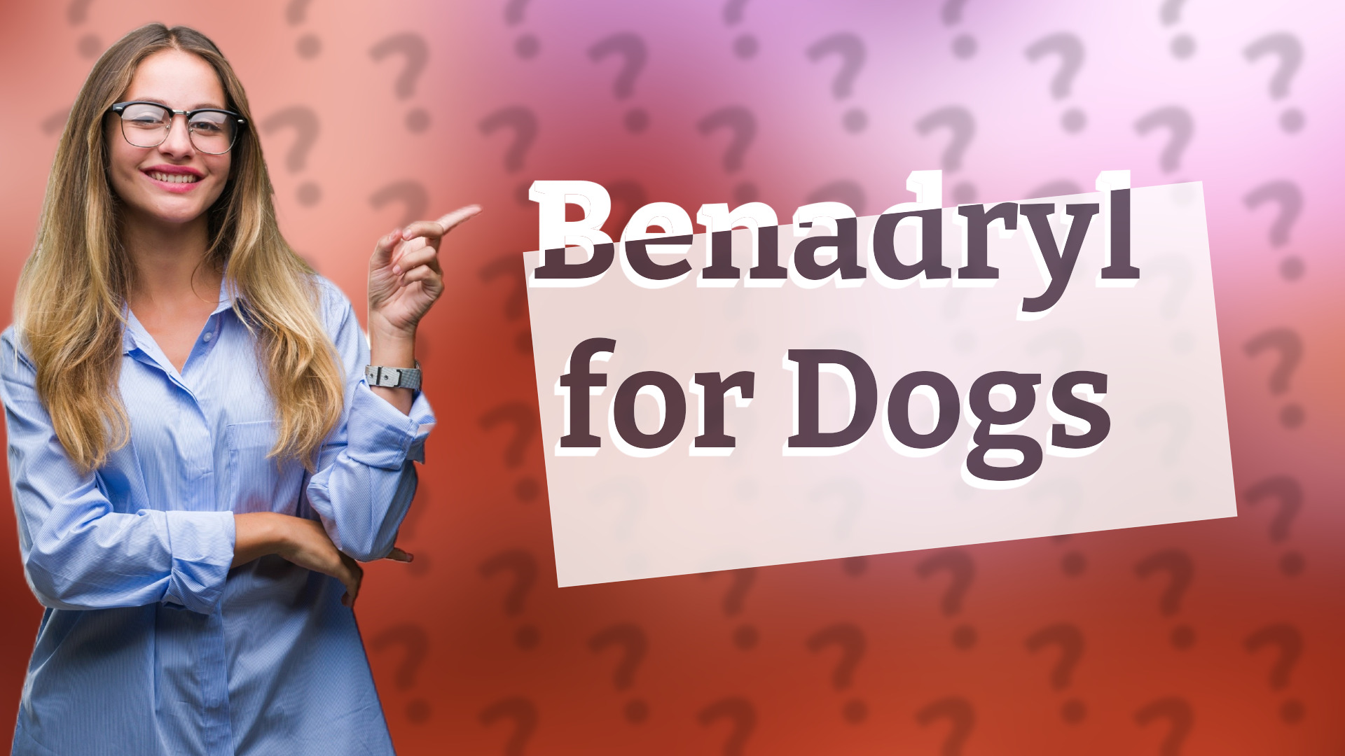 Benadryl for Dogs